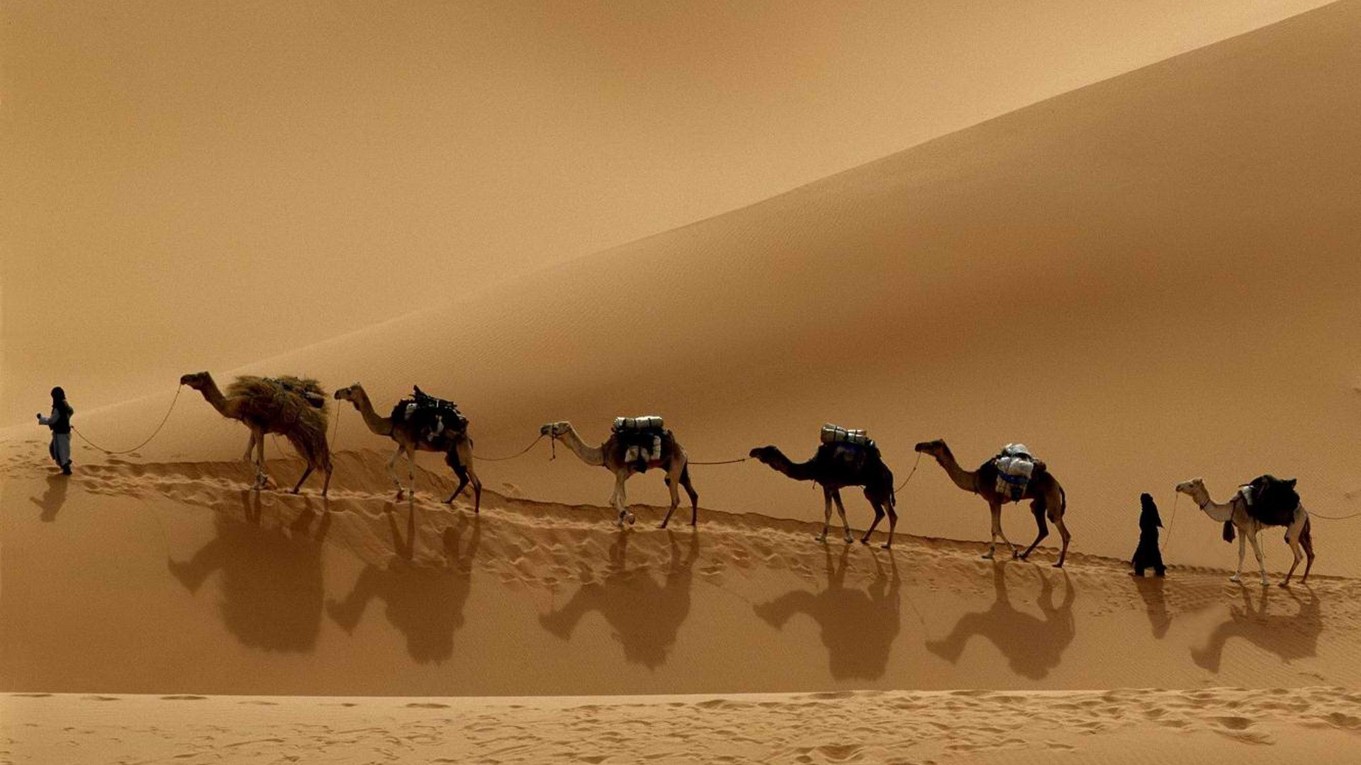 Photography Caravan 1920x1080