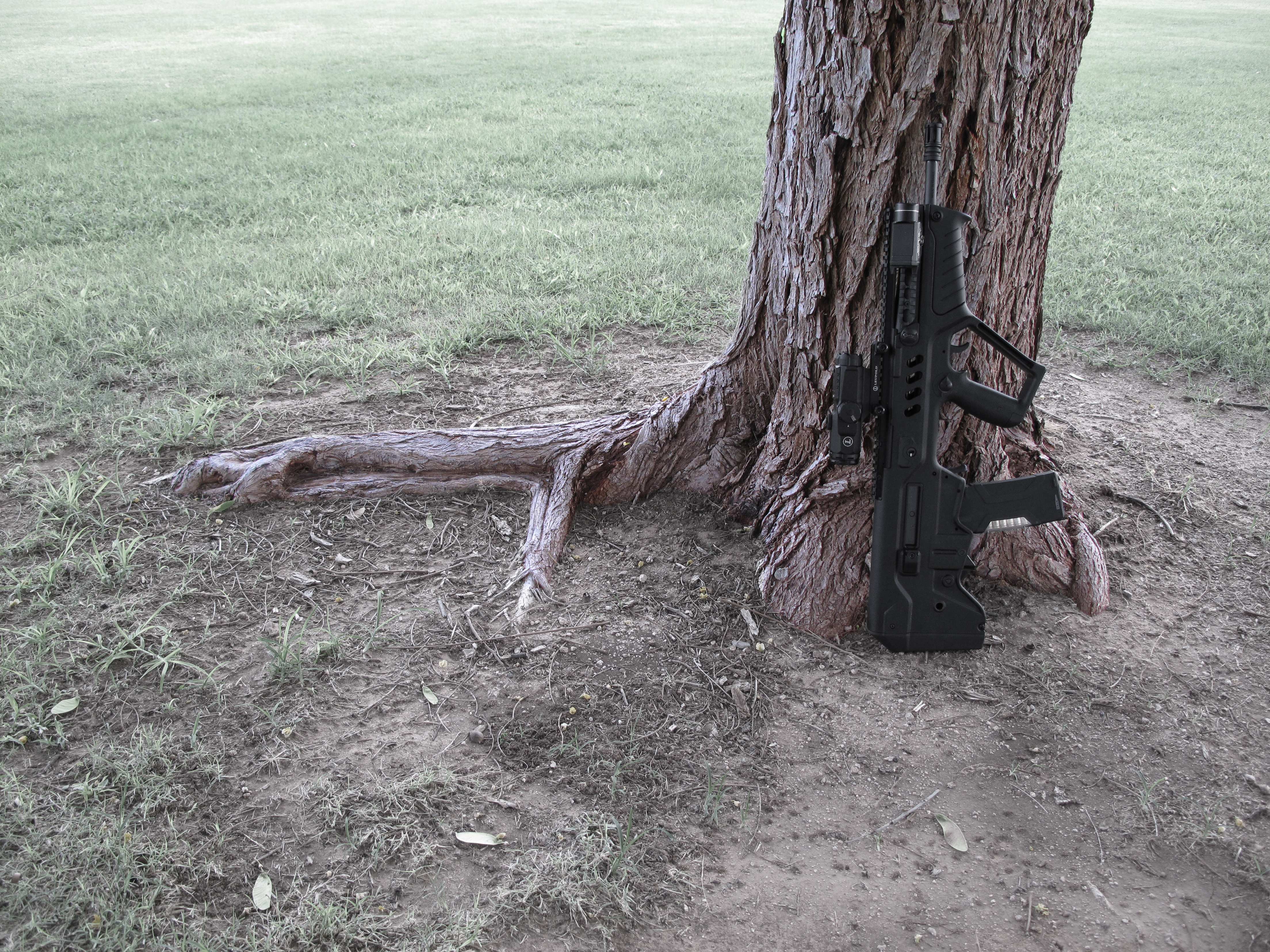 Bullpup IWi Tavor 4416x3312