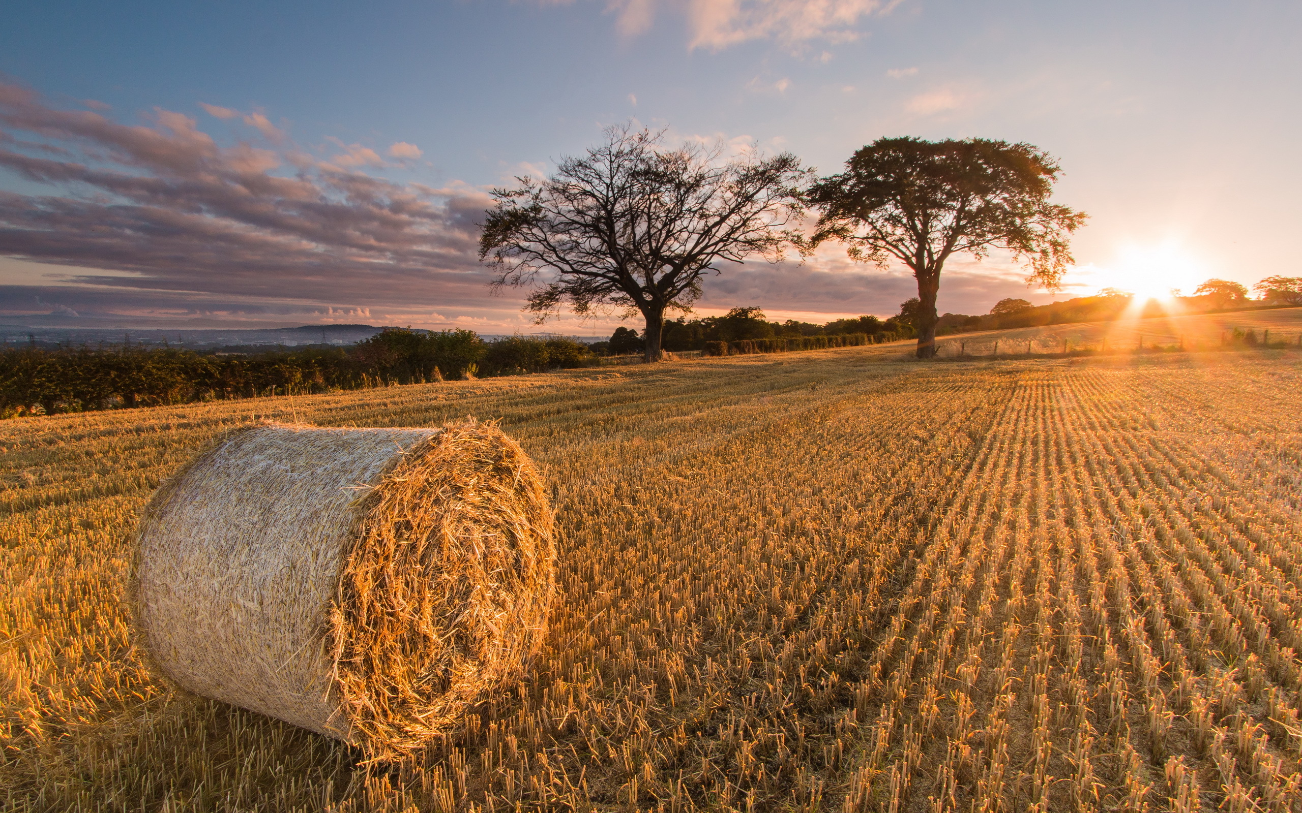 Haystack Field Nature Summer Sunbeam 2560x1600