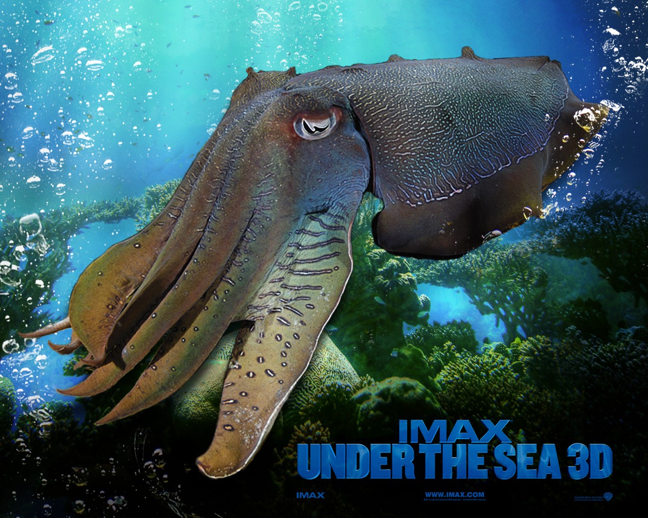 IMAX Underwater Animals 1280x1024