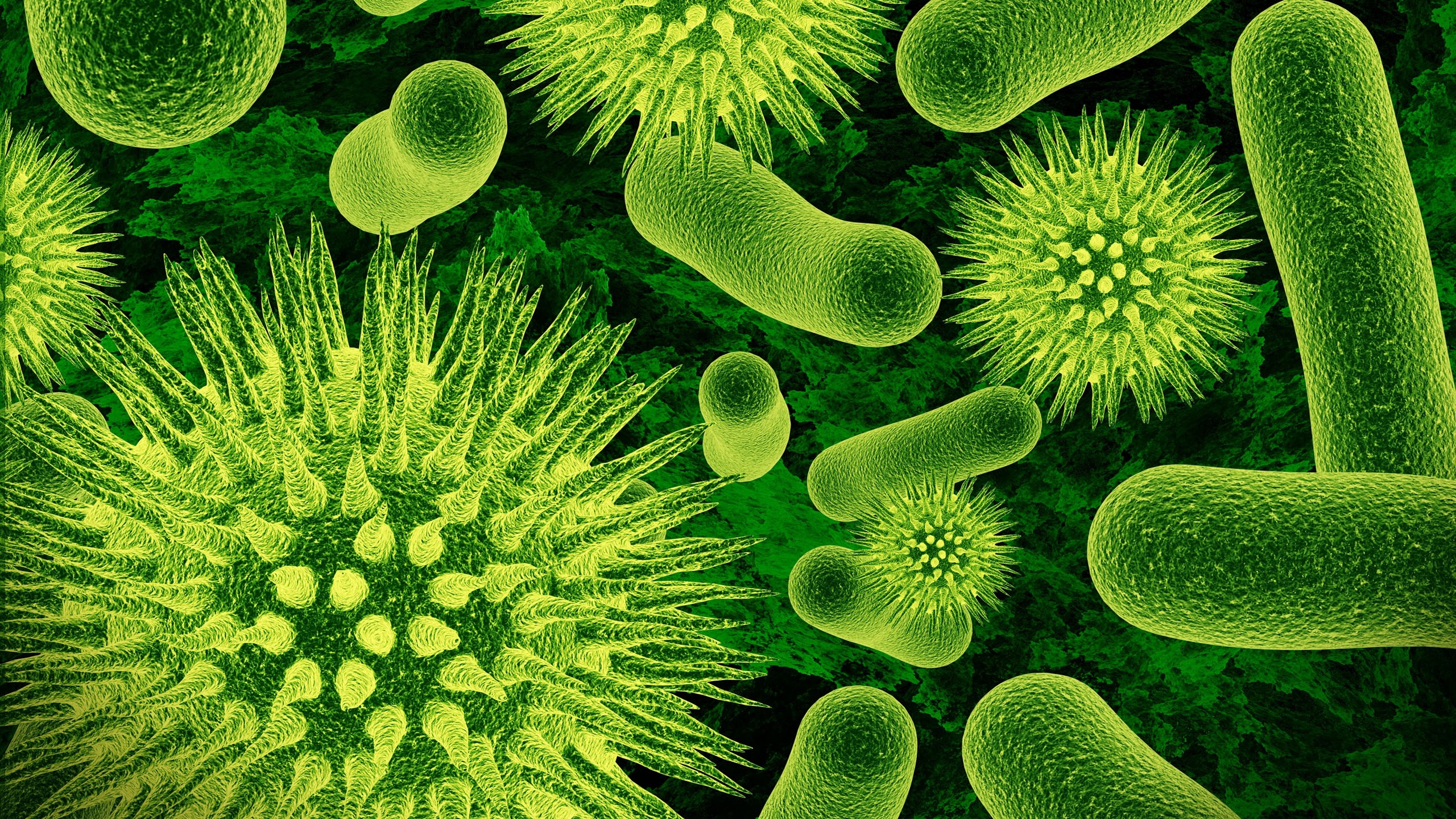 Nature Closeup Microscopic Viruses Bacteria Science Green Biology 2560x1440