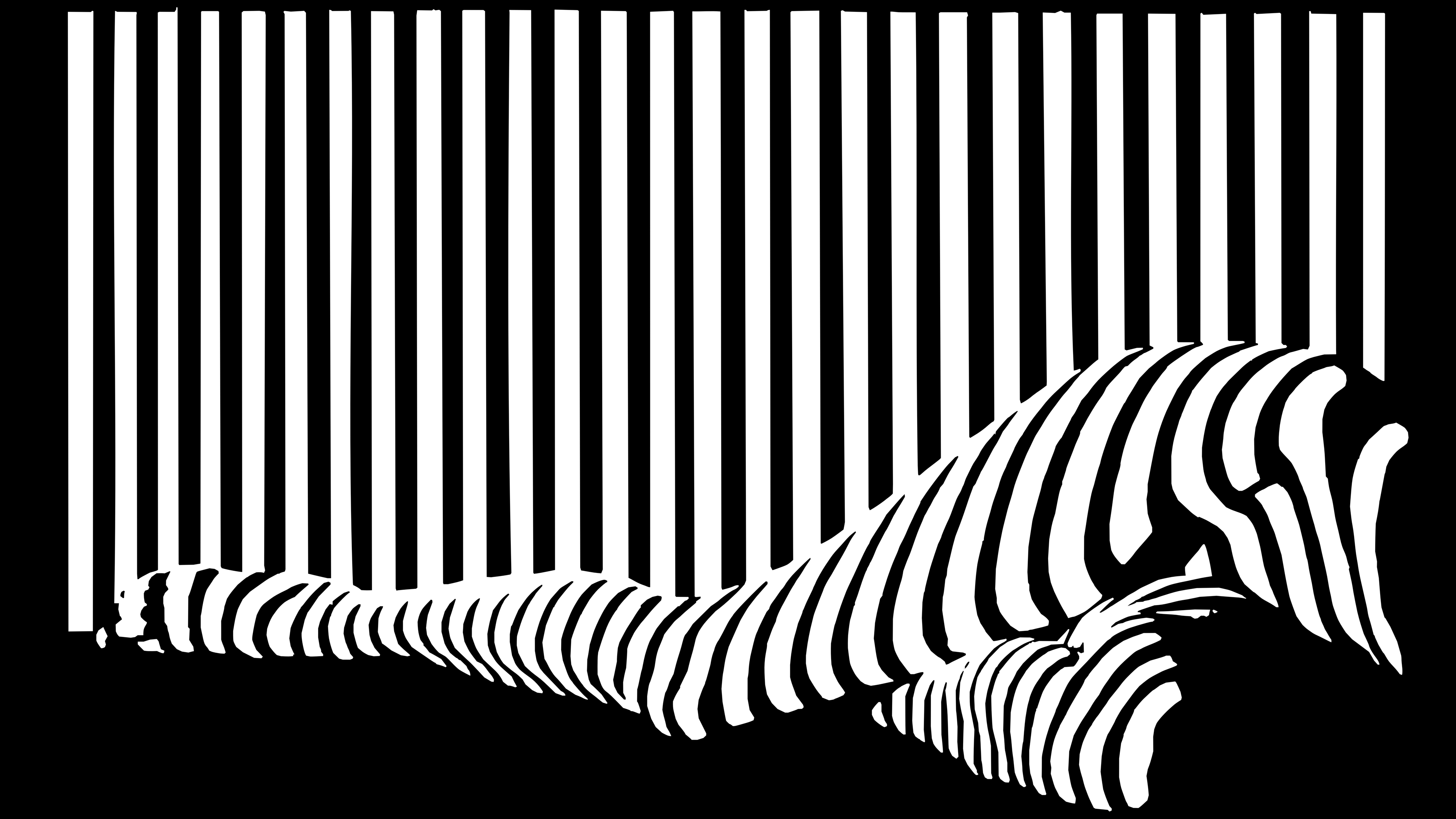 Stripe Pattern Legs Shadow 3840x2160