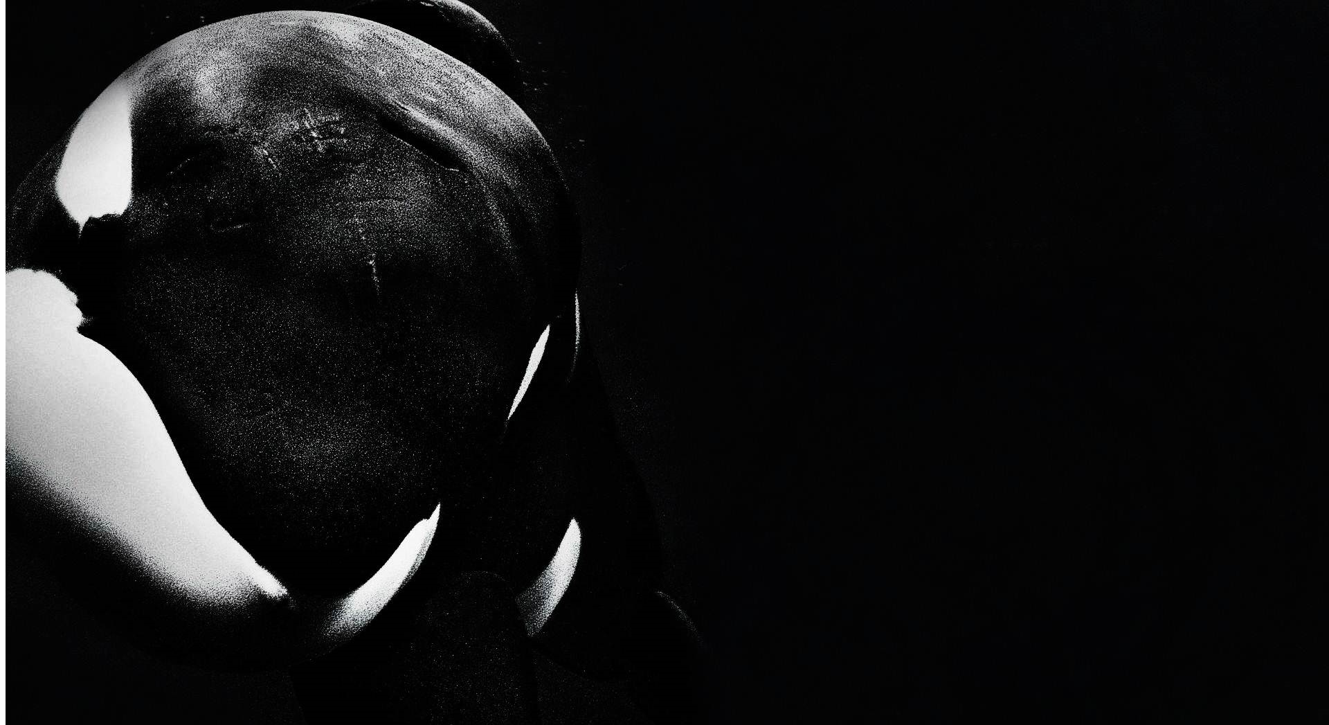 Animal Orca 1920x1047