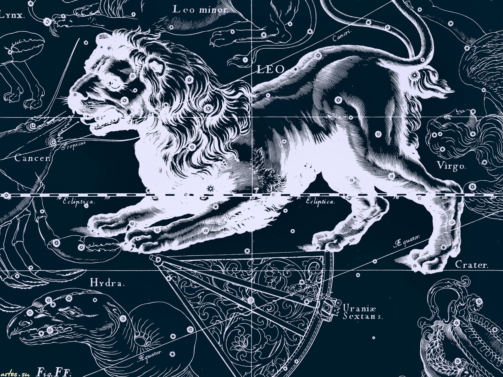 Zodiac Sign Horoscope Leo Astrology 1600x1200