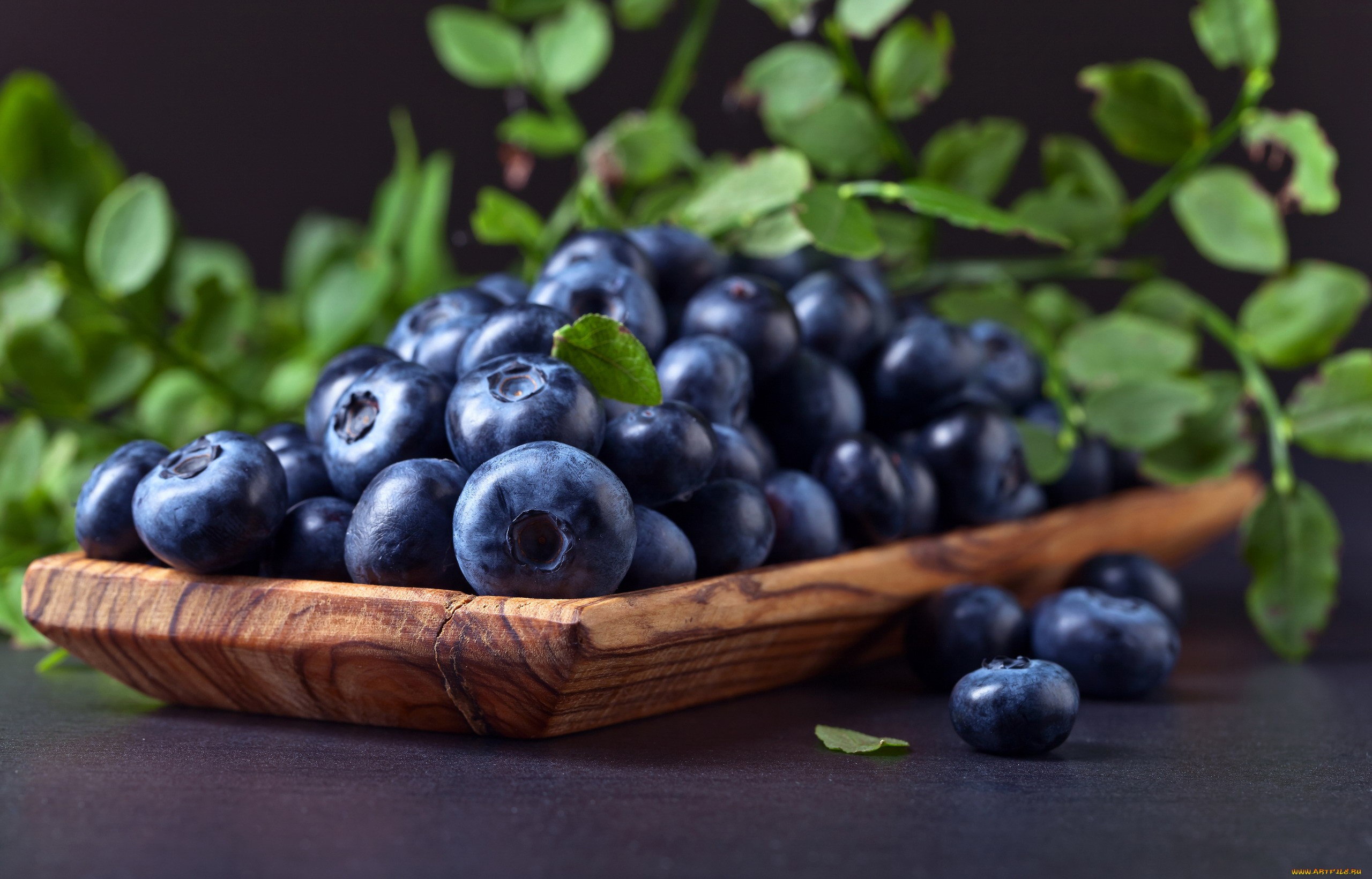 Blue Green Berries Food Blackberries Macro 2560x1641