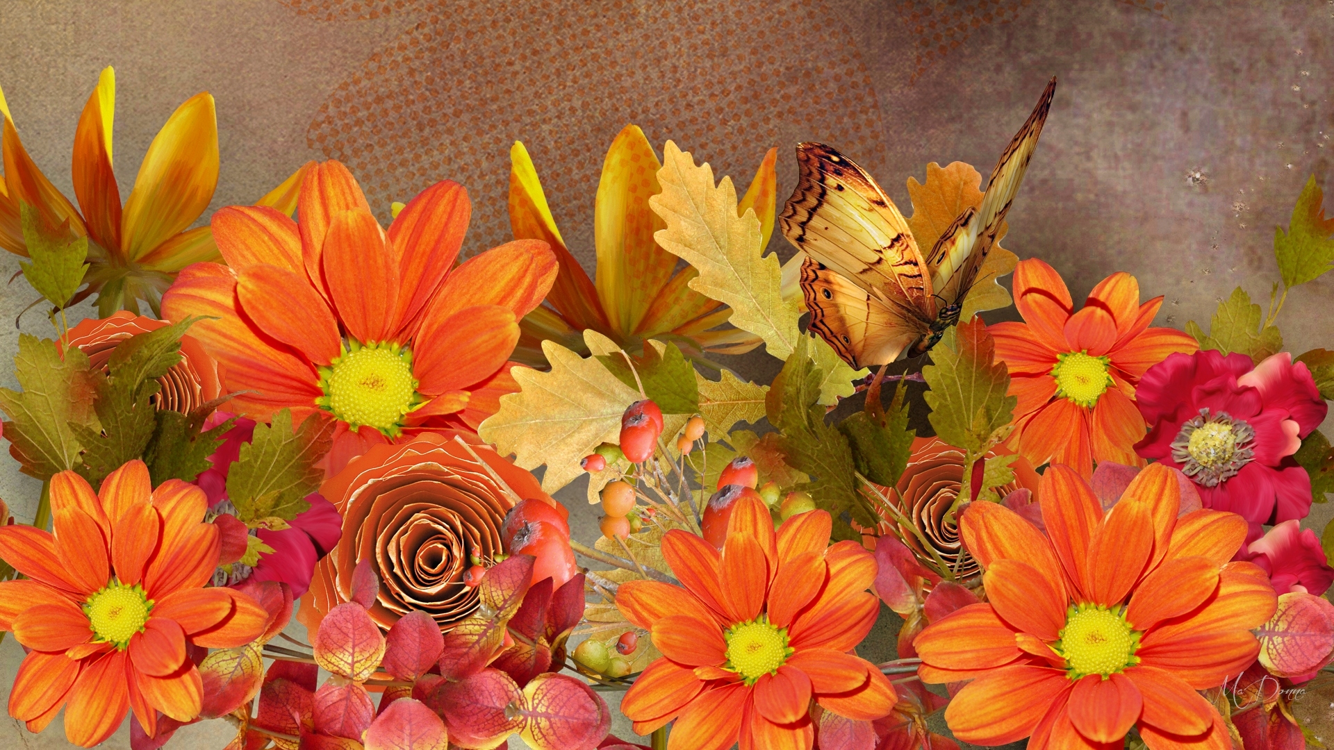 Artistic Fall Flower Butterfly Colors Wallpaper Resolution 1920x1080 Id 197951 Wallha Com,Serpae Tetra School