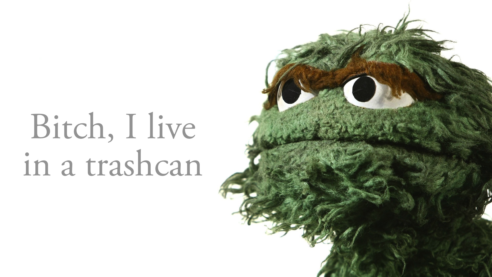 Oscar The Grouch 1920x1080