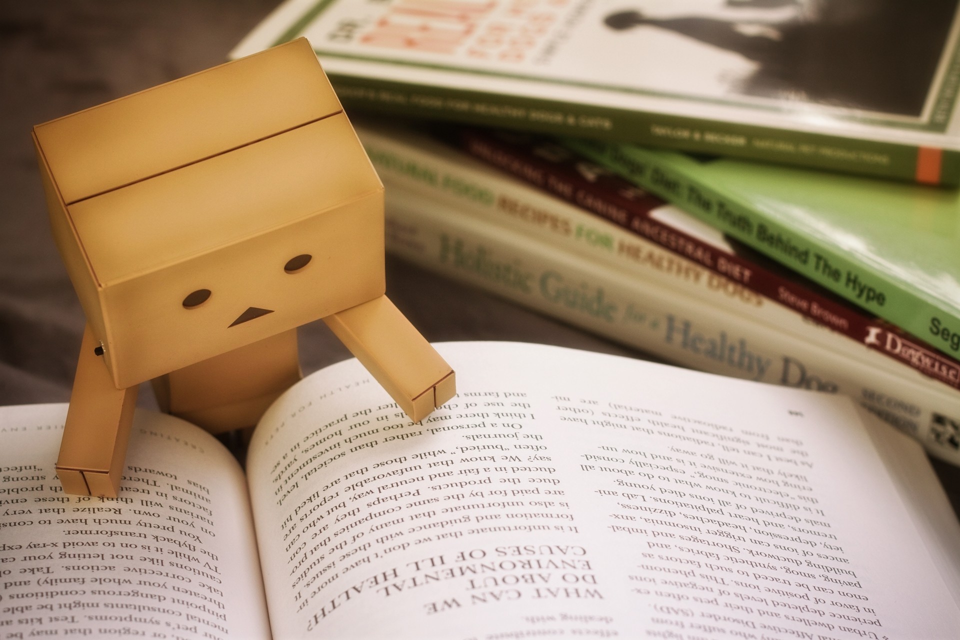 Books Cardboard Danbo 1920x1280