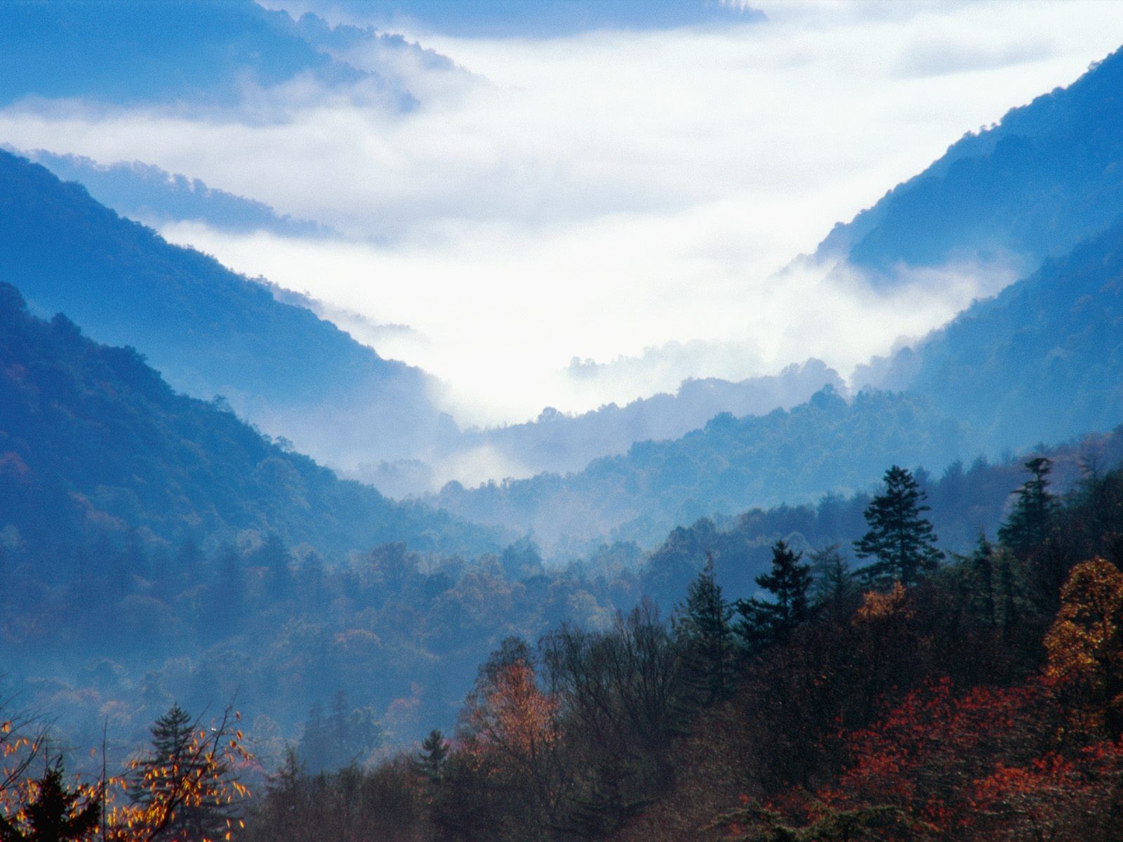 Mountains Forest Smoky Mountains Valley Clouds Tennessee 1600x1200