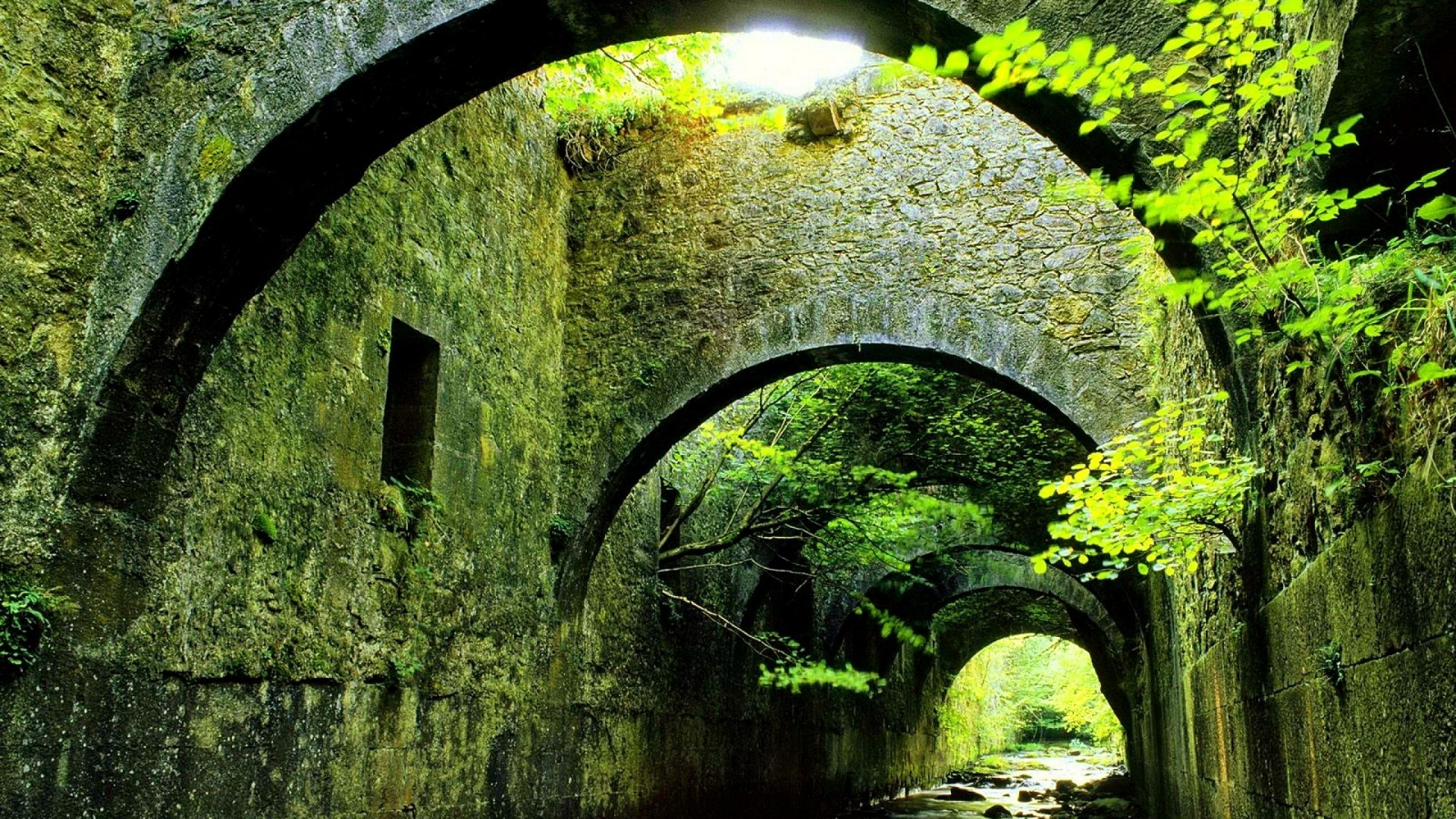 Architecture Building Trees Bridge River Arch Rock Sunlight Moss Green Wet Stone Arch 1920x1080