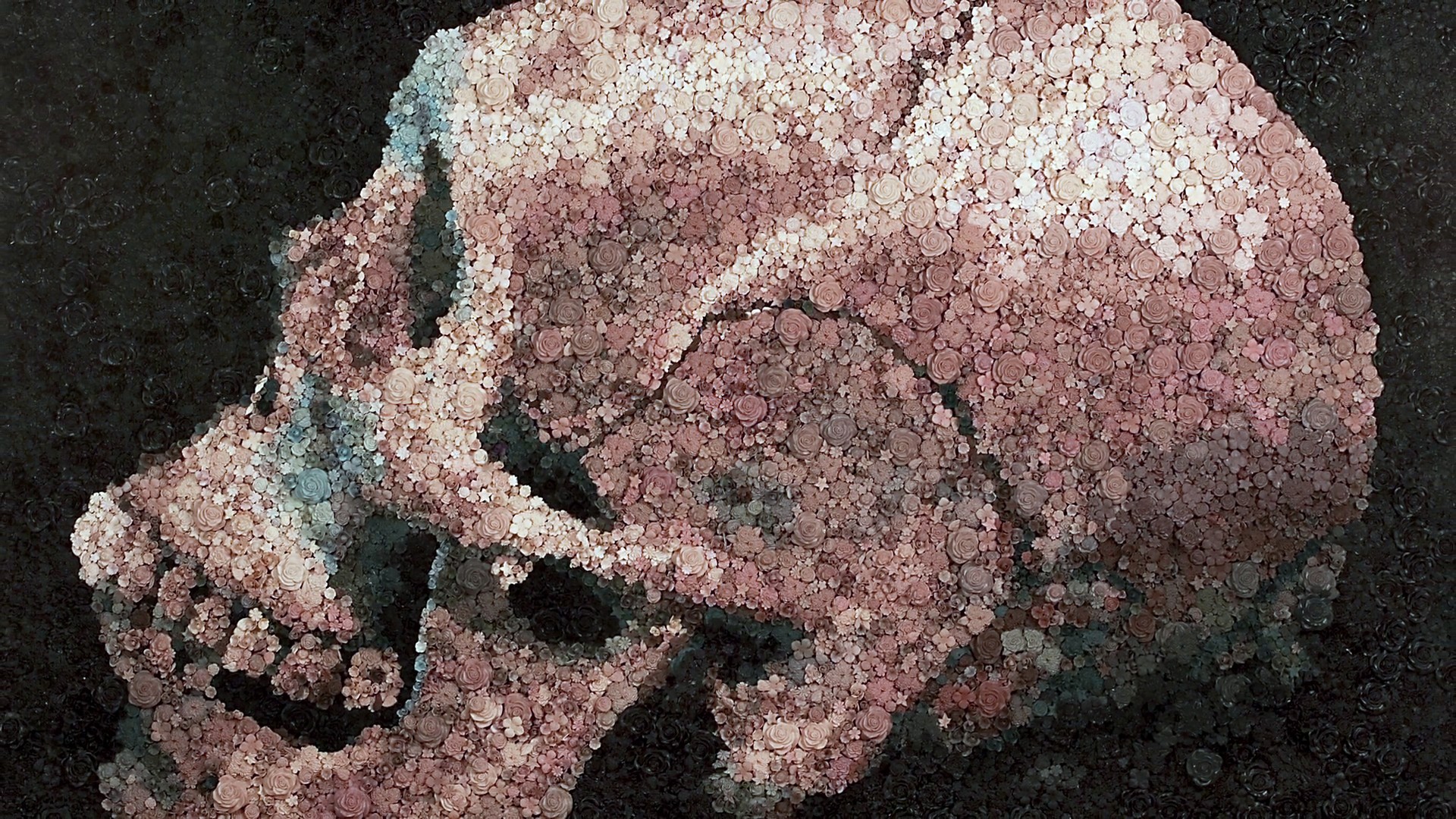 Skull Rose Flowers Painting Transformation Bones Skull And Bones 1920x1080