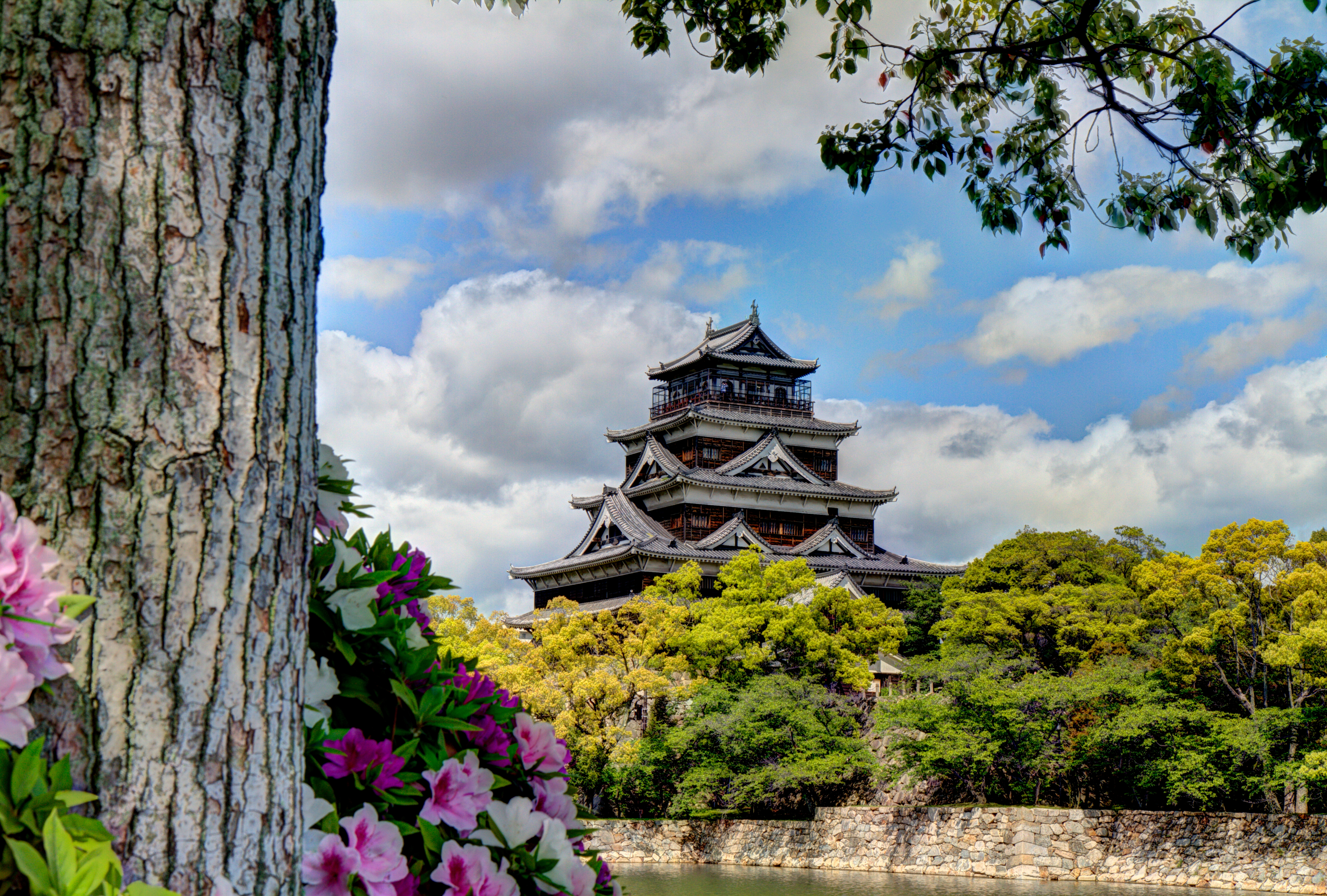Hiroshima Hiroshima Castle Yamaguchi Prefecture Castle Tree Flower 5132x3465