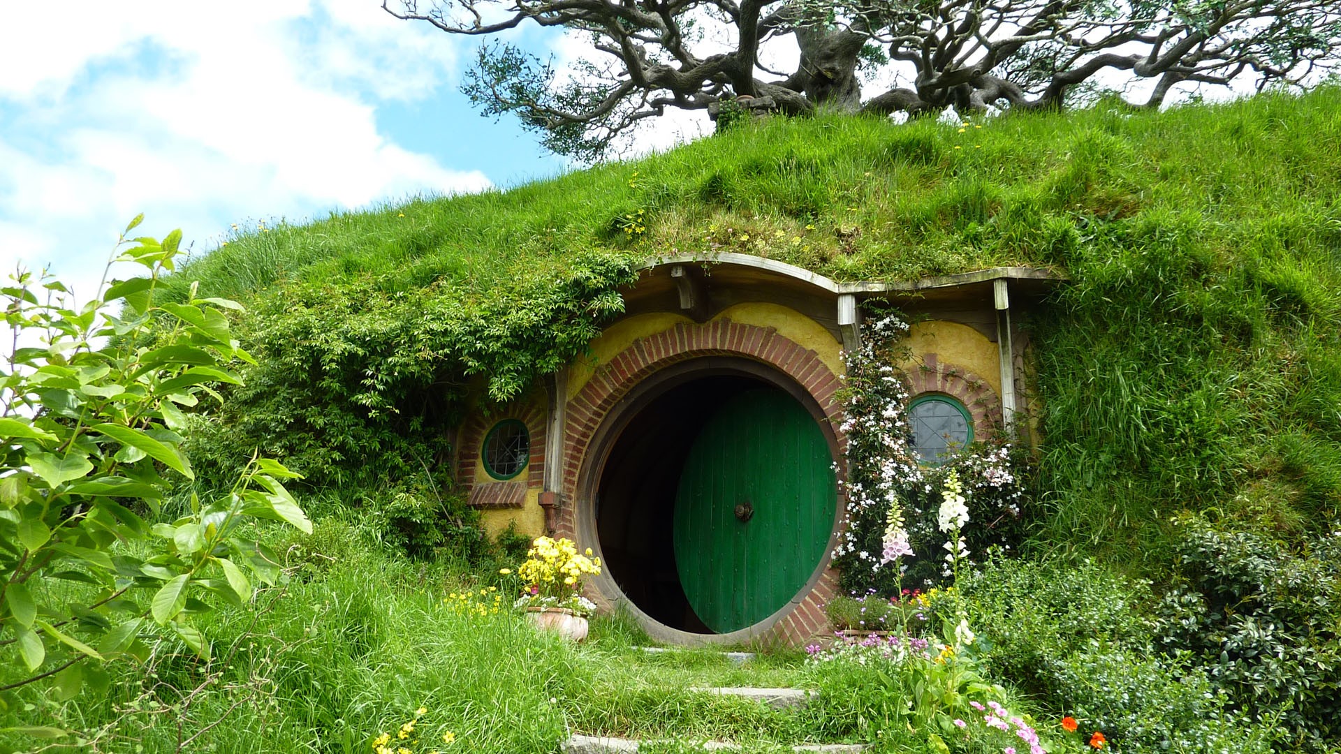 Nature Landscape House New Zealand Hobbiton Door Trees Grass Flowers Green J R R Tolkien The Lord Of 1920x1080