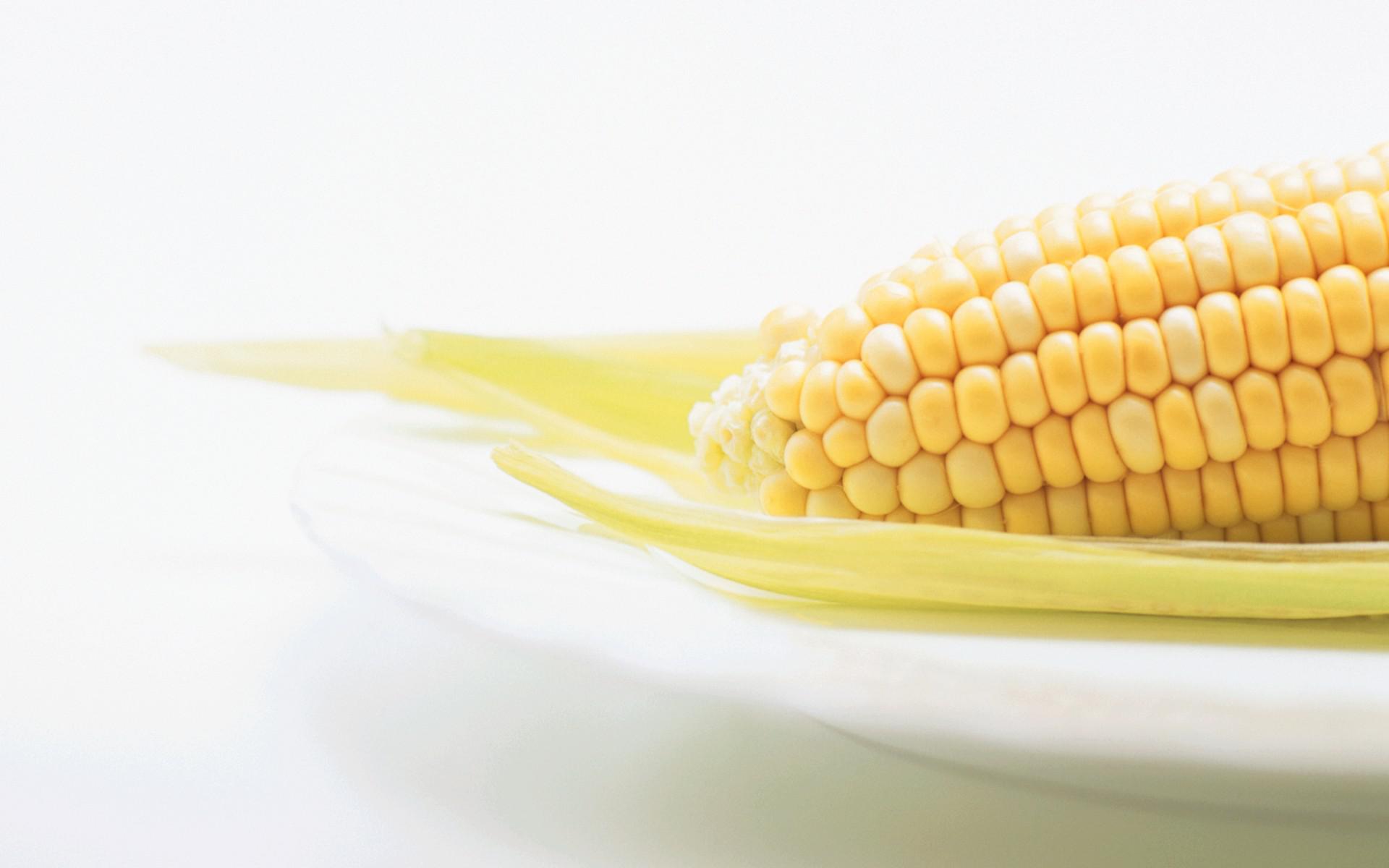 Food Corn 1920x1200