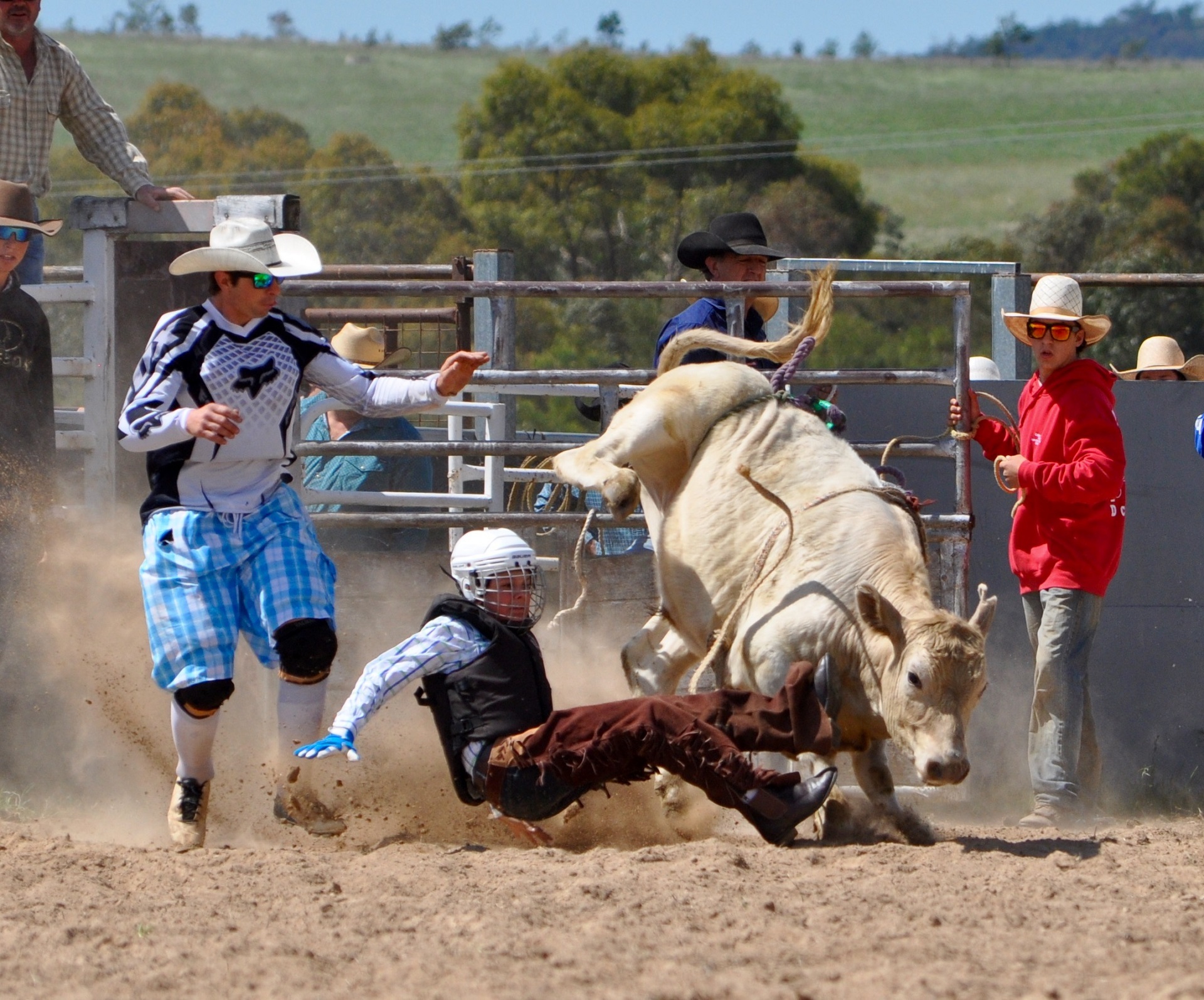 Rodeo Bull Cowboy Sport 1920x1595