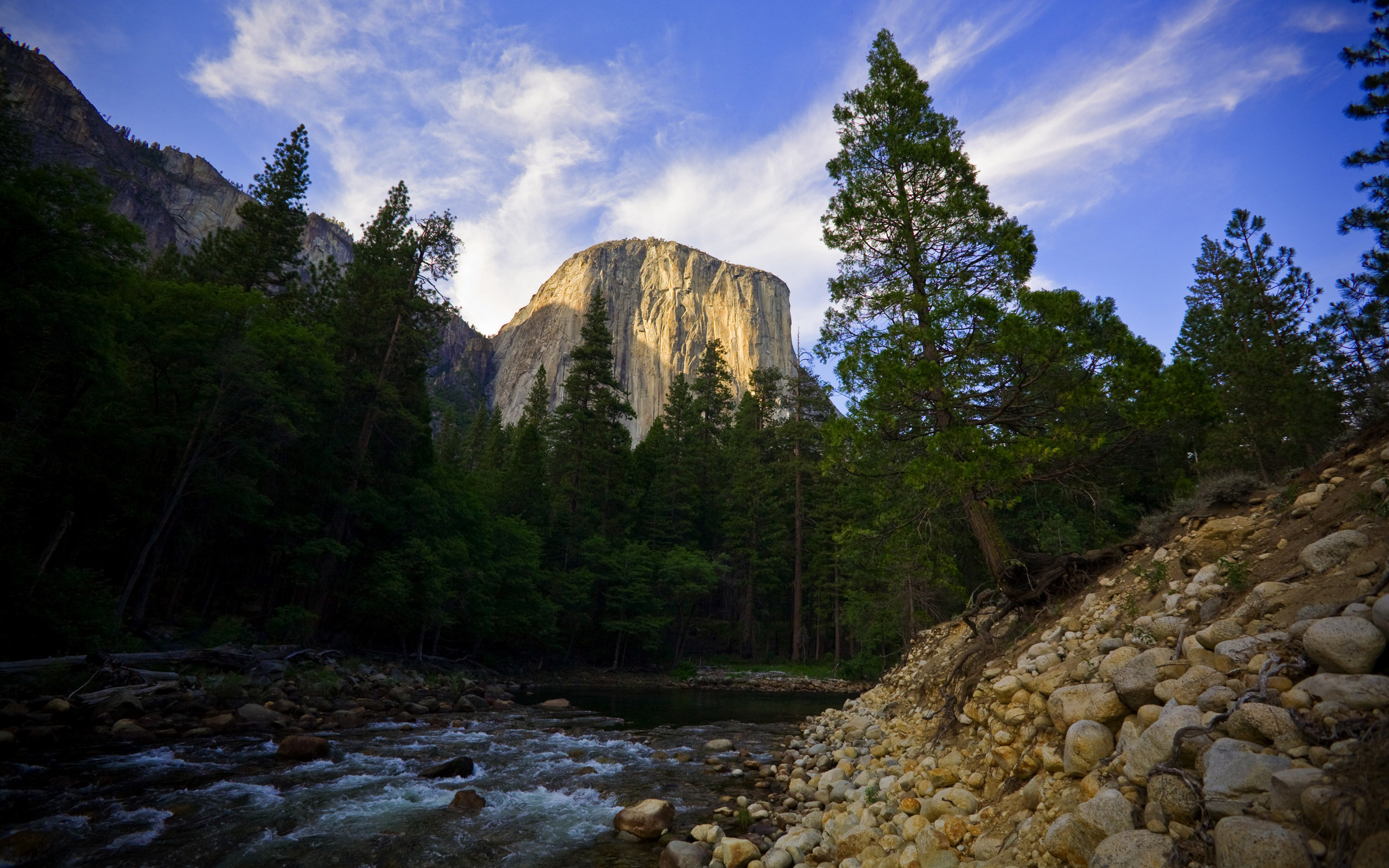 El Capitan Forest Yosemite National Park River Trees USA 2560x1600