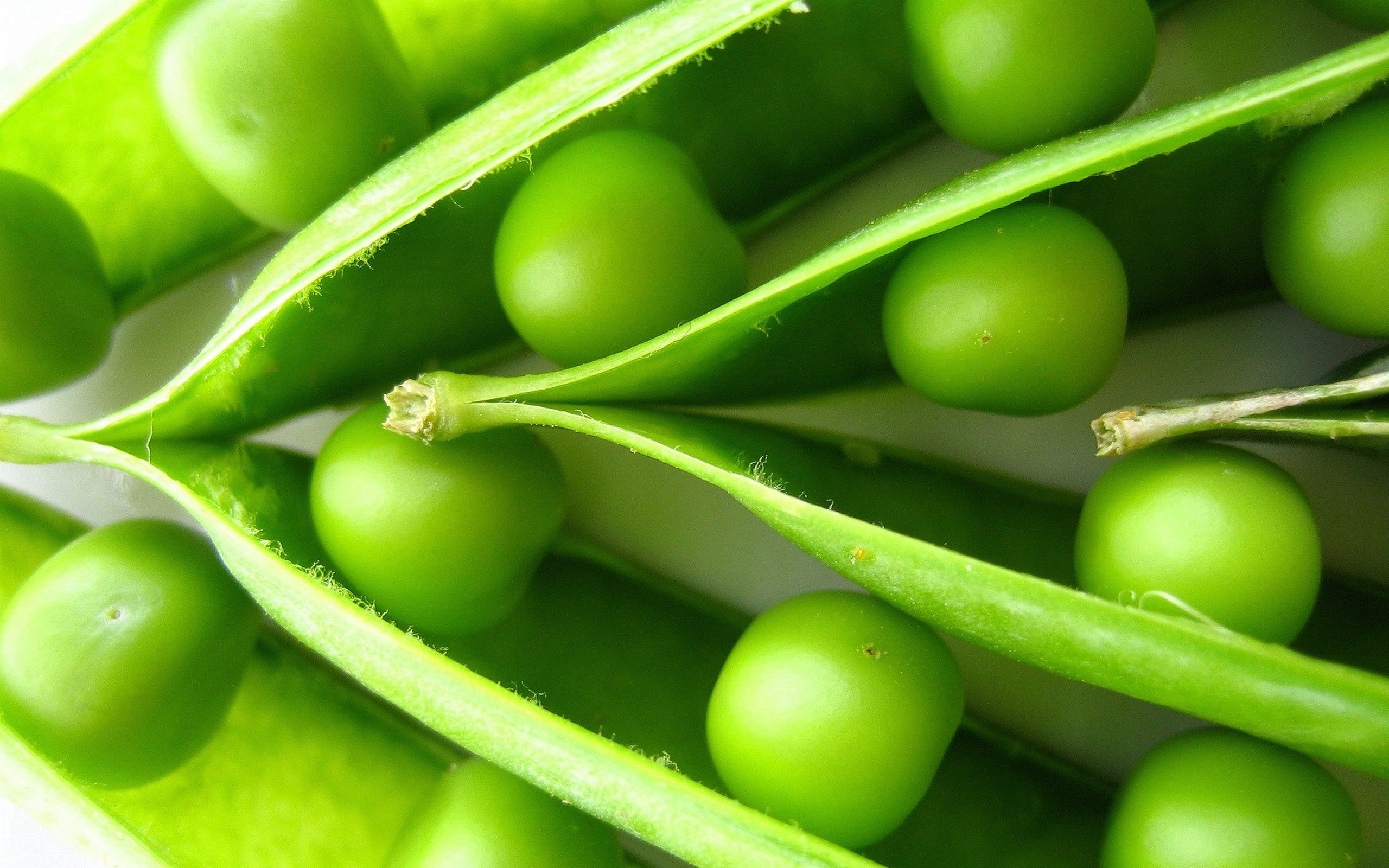 Food Pea 2560x1600