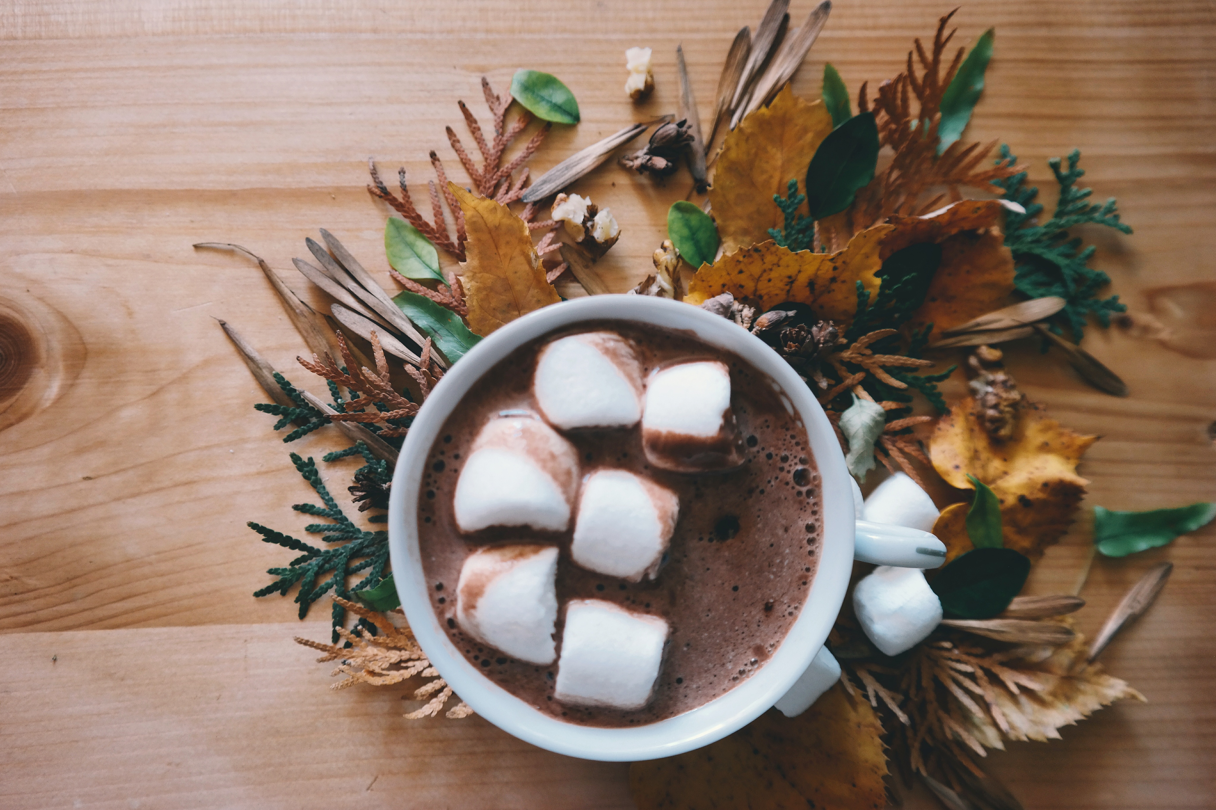 Hot Chocolate Cup Marshmallow Leaf 4095x2730