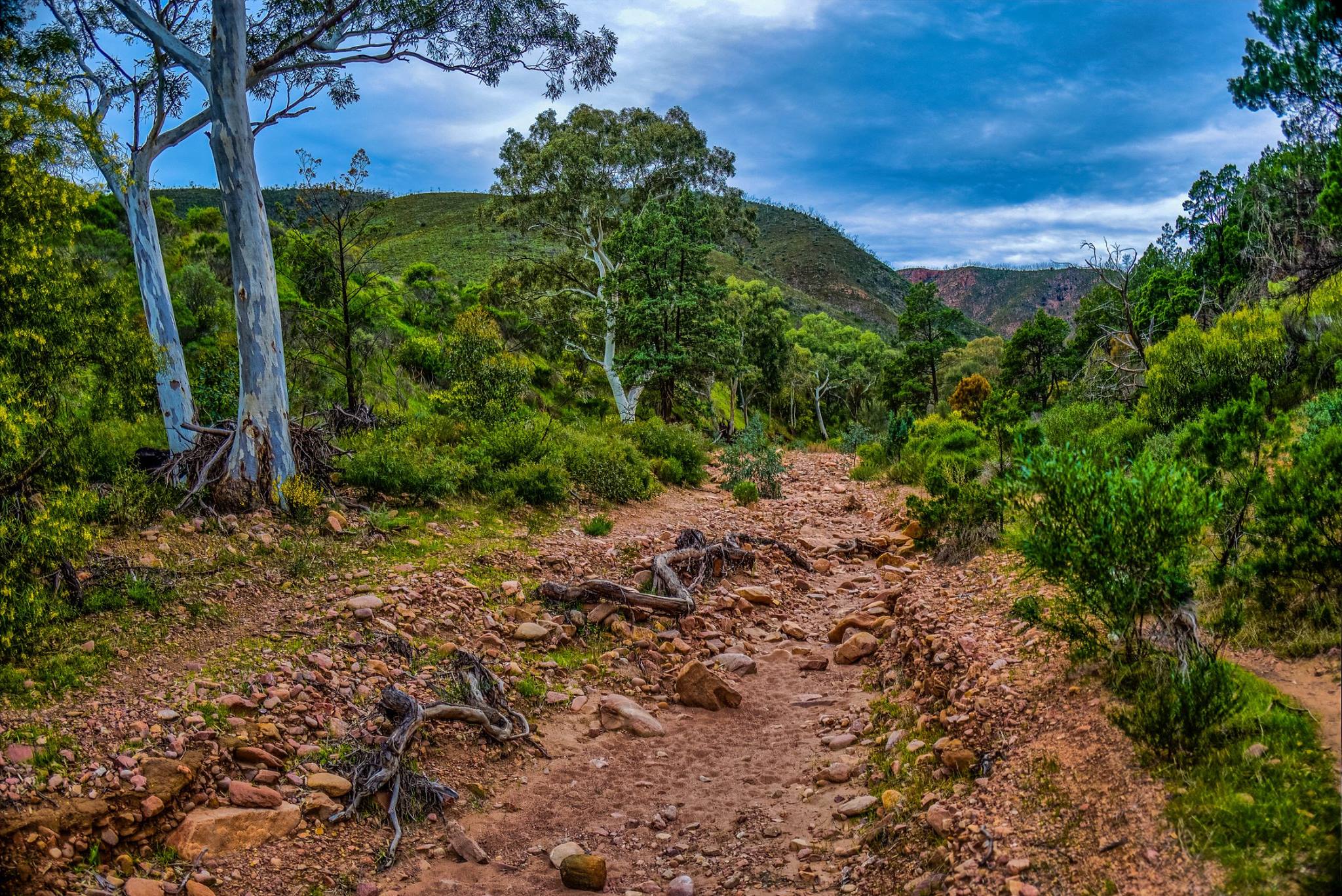 Landscape South Australia Nature Trees Plants Stones 2048x1367