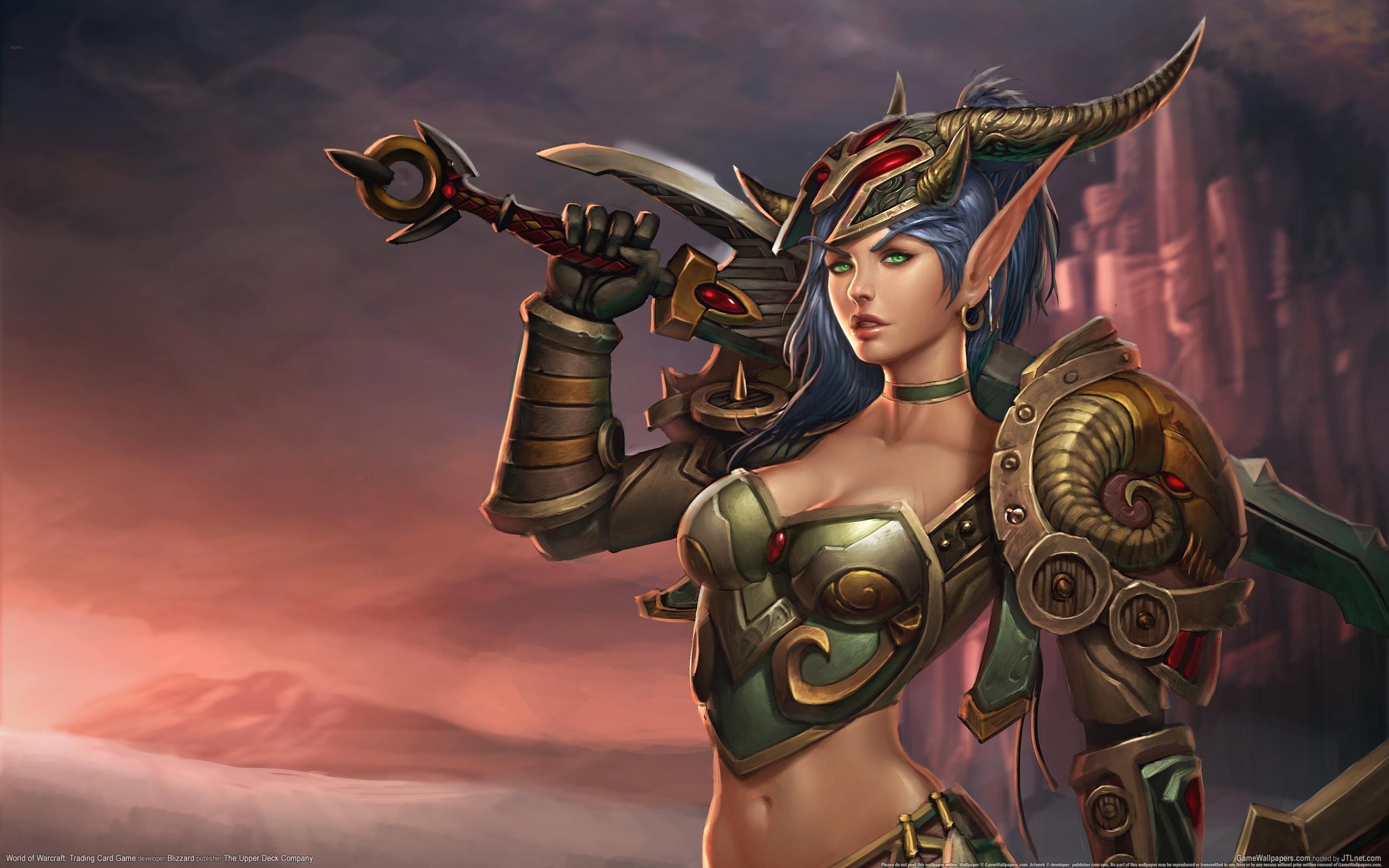 Warcraft World Of Warcraft Trading Card Game Helmet Fantasy Girl World Of Warcraft 2560x1600