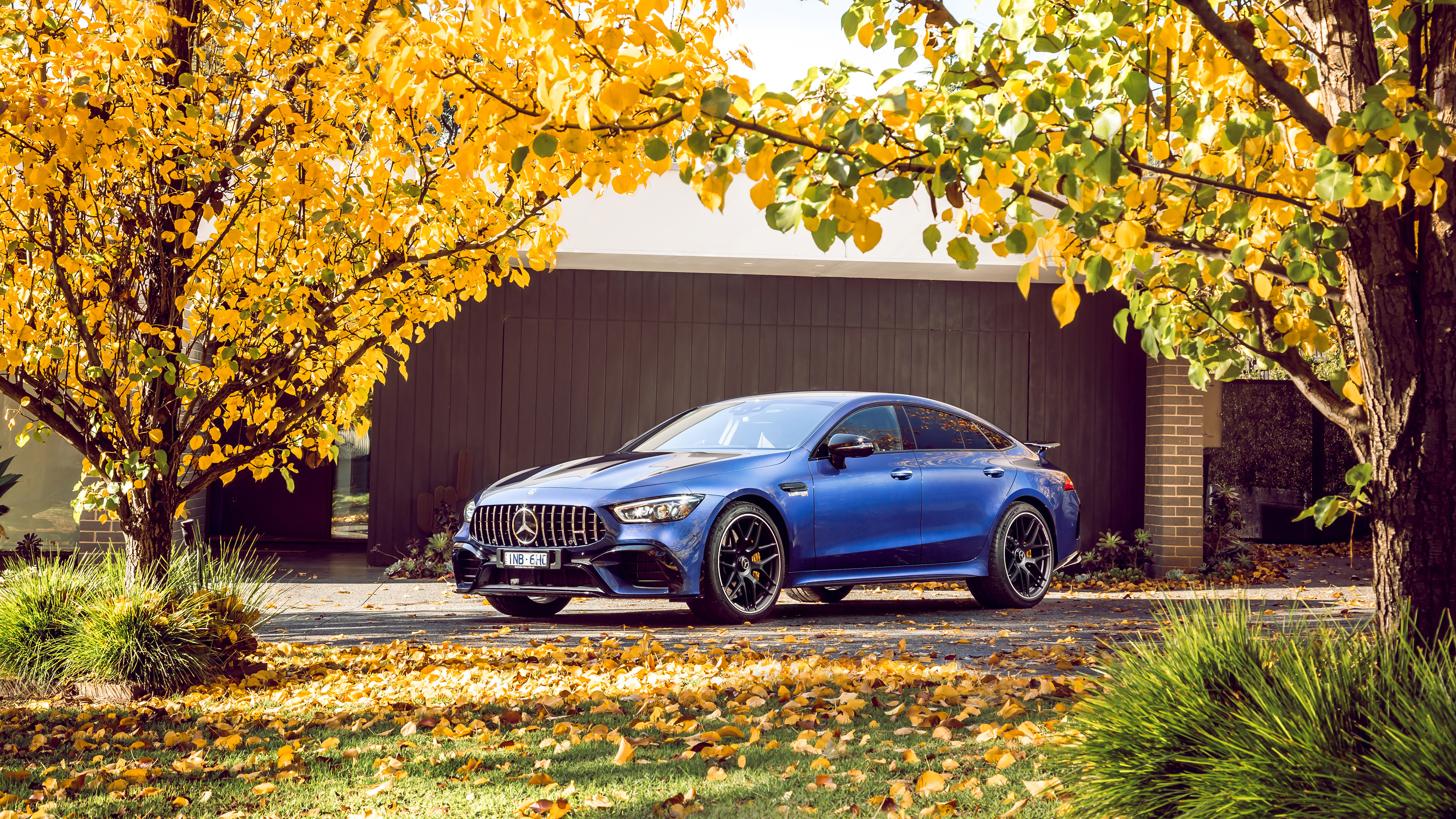 Car Mercedes Benz Mercedes AMG Mercedes Amg Gt 63s Trees Leaves Fall Blue Blue Cars 3840x2160