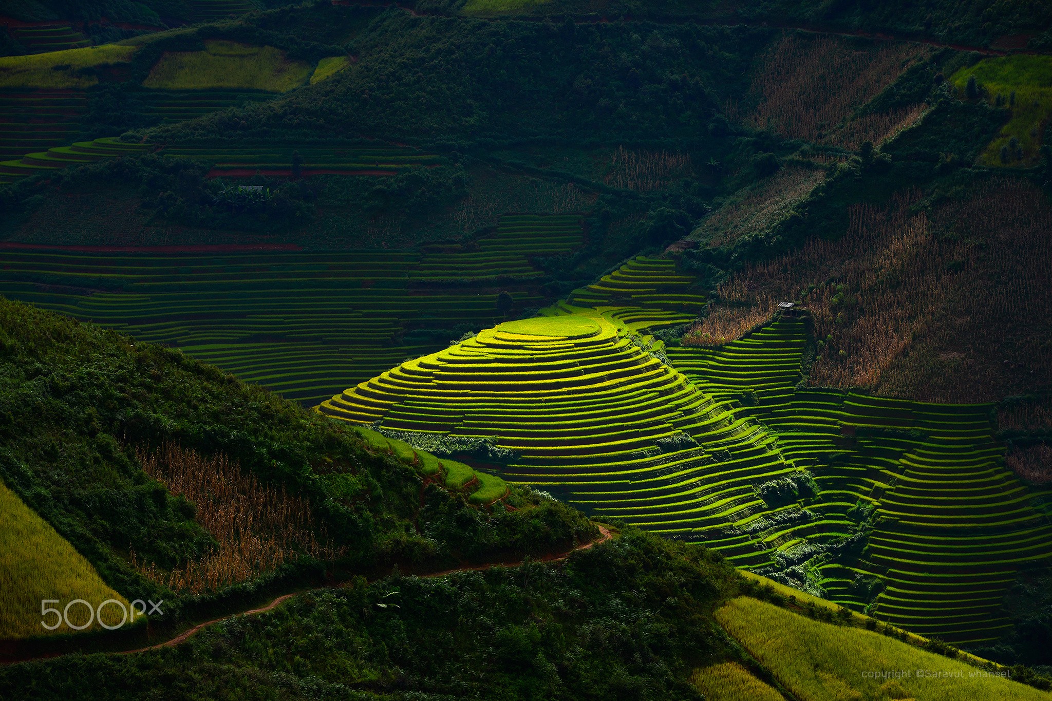 Rice Paddy Landscape Valley Rice Fields Rice Terrace 2048x1365