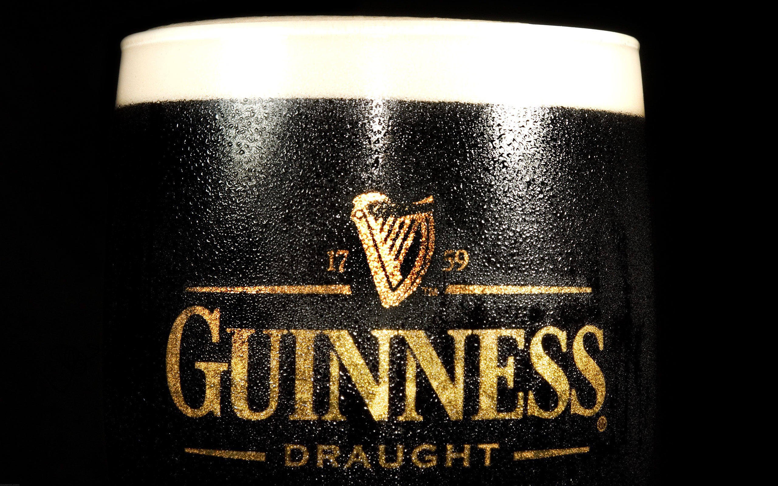 Beer Alcohol Drinking Glass Guinness Food Black Logo Water On Glass Water Drops Wet Black Background 2560x1600