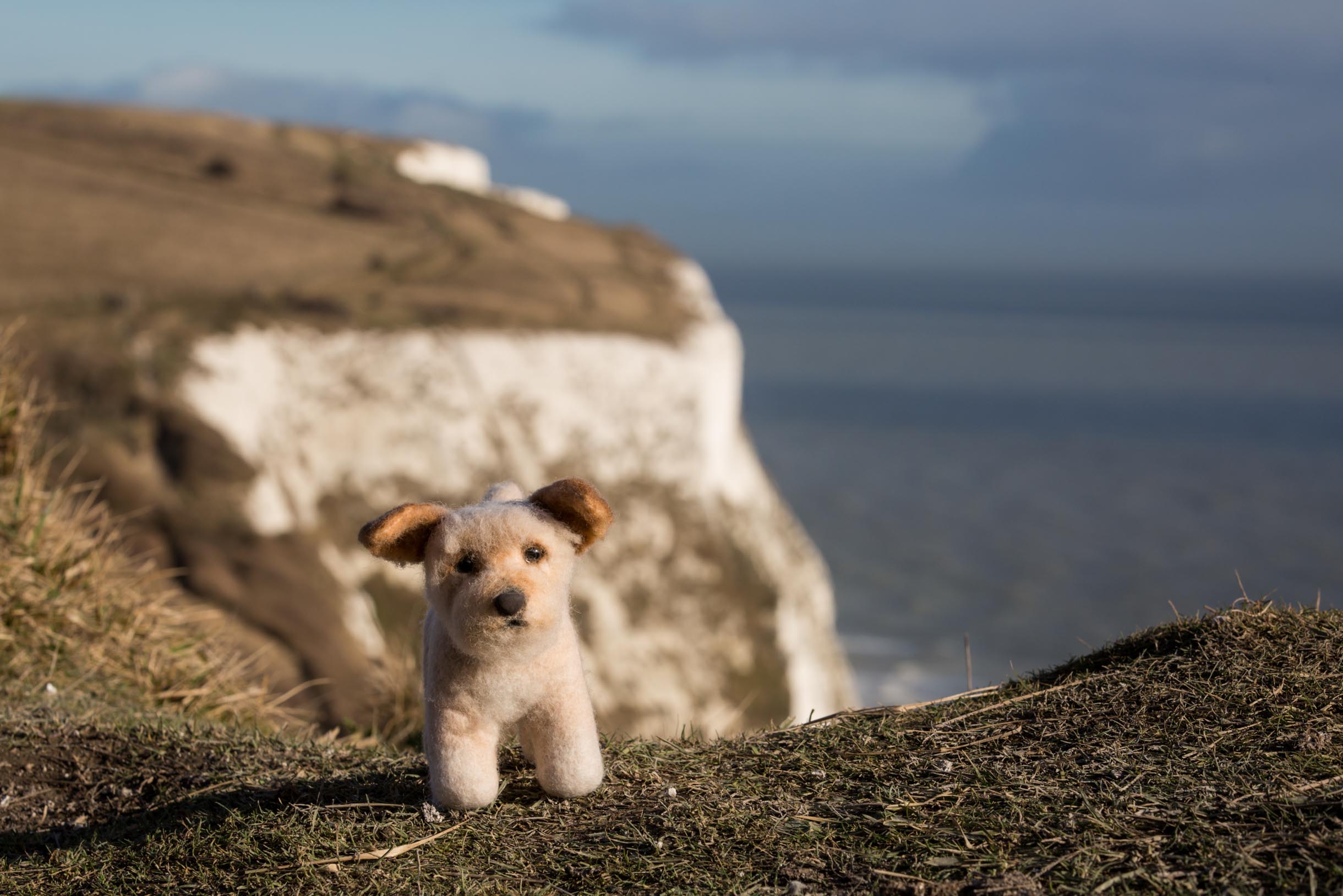 Nature Landscape Sea Cliff Coastline Cliffs Of Dover England UK Depth Of Field Closeup Toys Dog 2440x1627