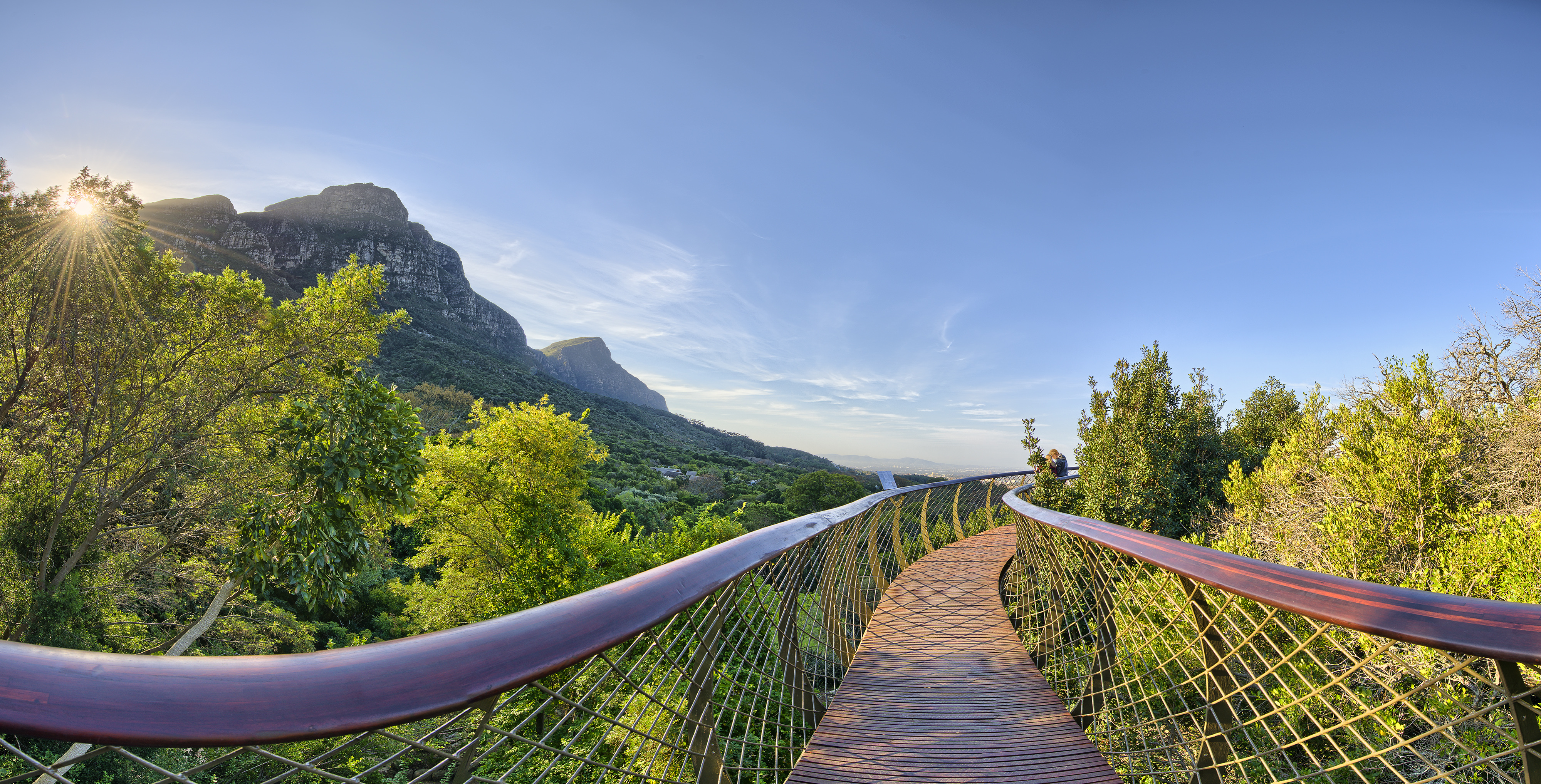 Cape Town South Africa Table Mountain Bridge Nature Trees Kirstenbosch National Botanical Garden Sky 4000x2036