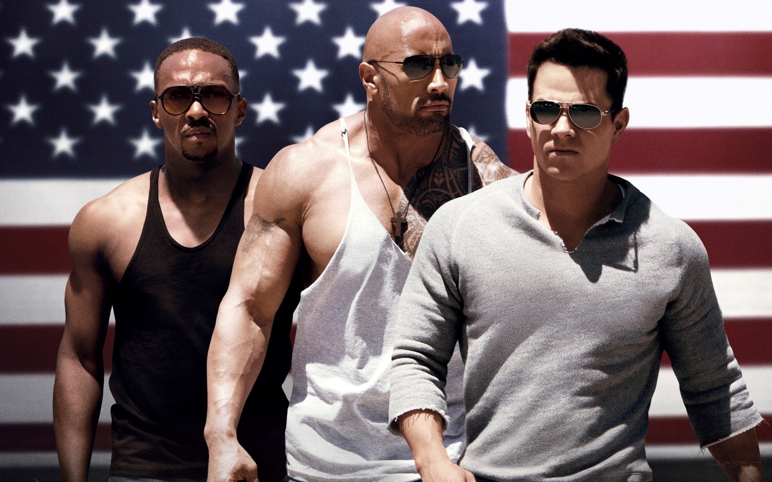 Pain Gain Dwayne Johnson Dwayne Johnson Mark Wahlberg Flag Movies Men 2560x1600