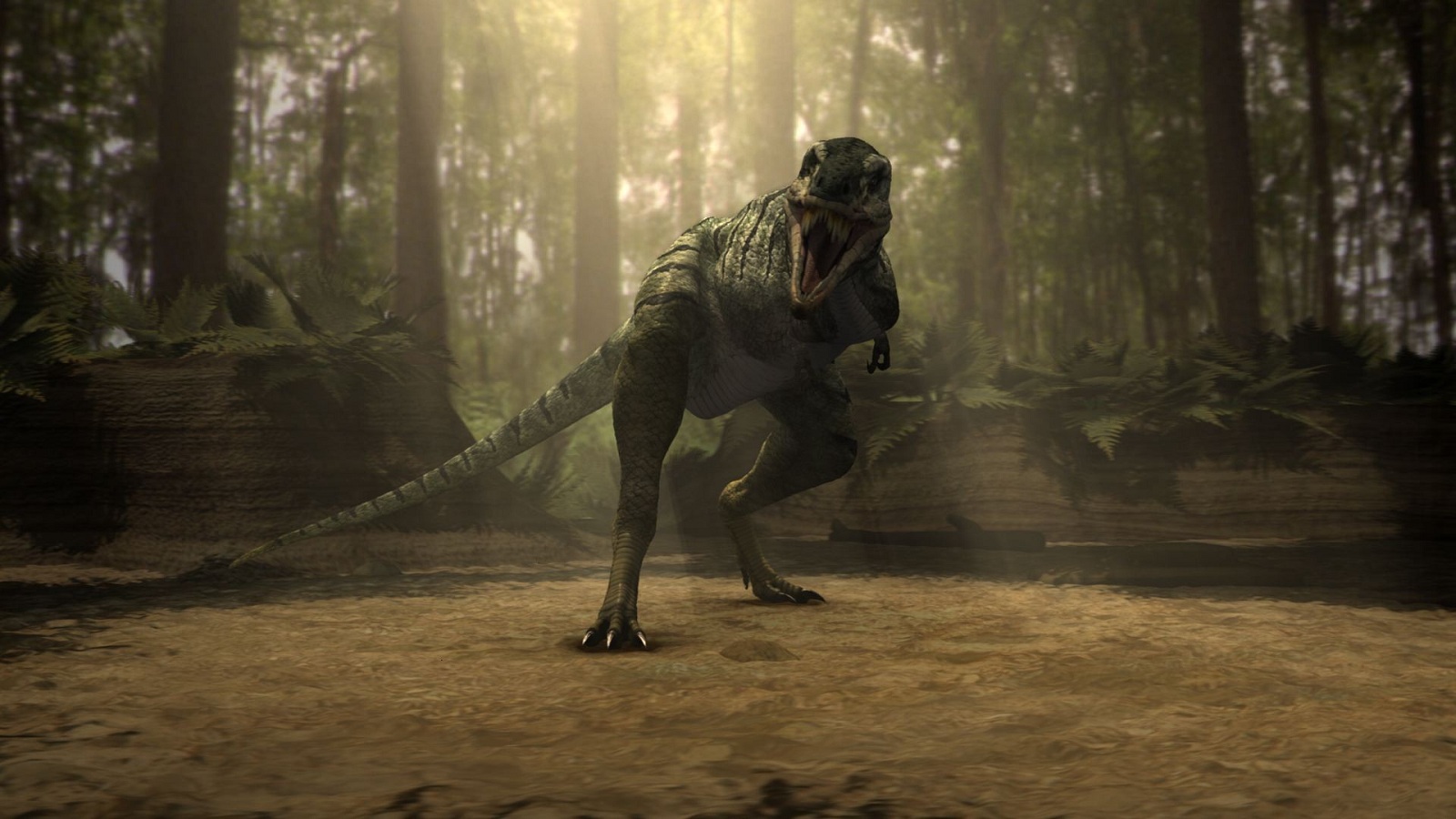 Animal Dinosaur Extinct 1600x900