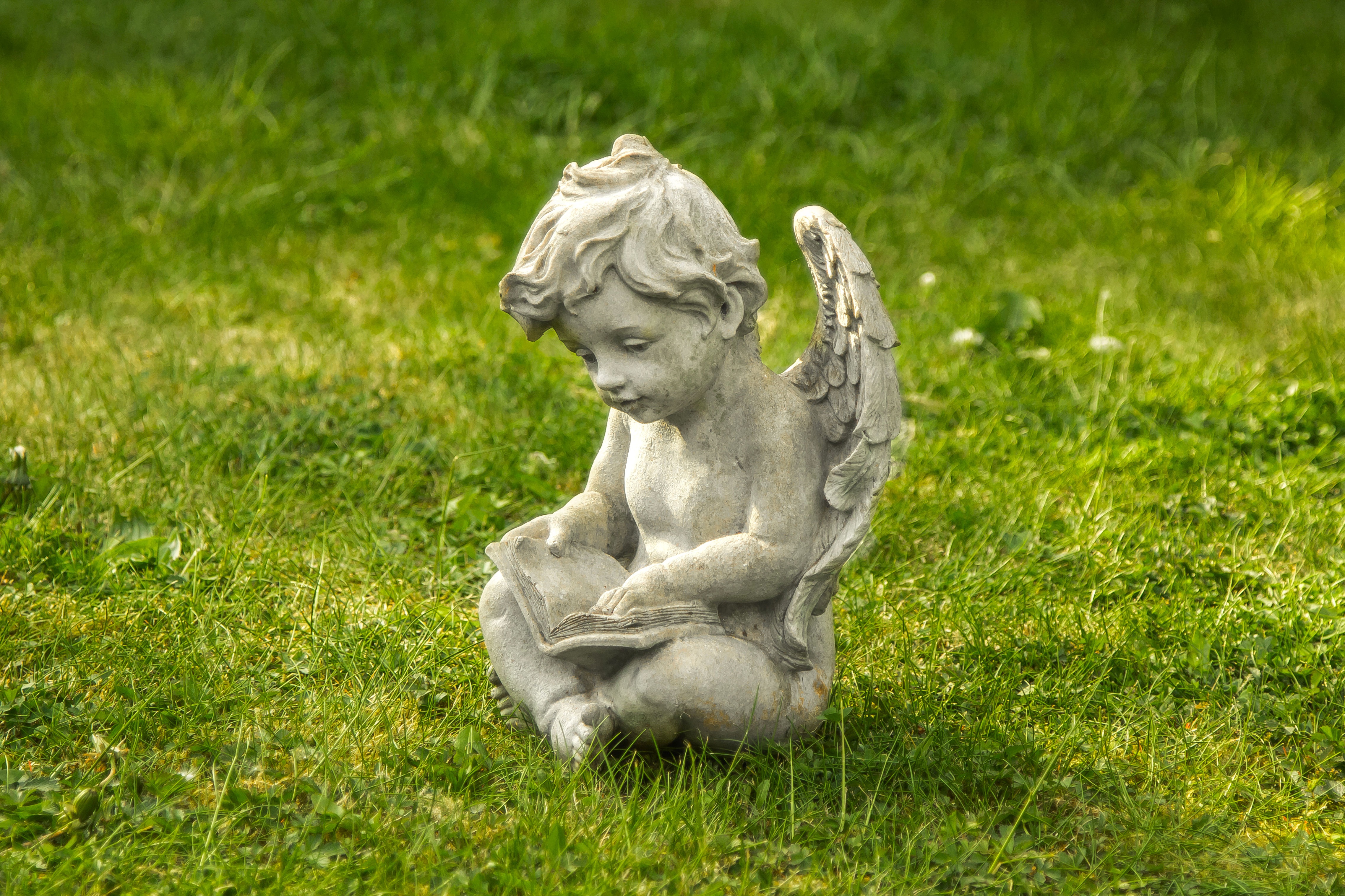Cherub Statue Angel Statue Grass 4551x3034