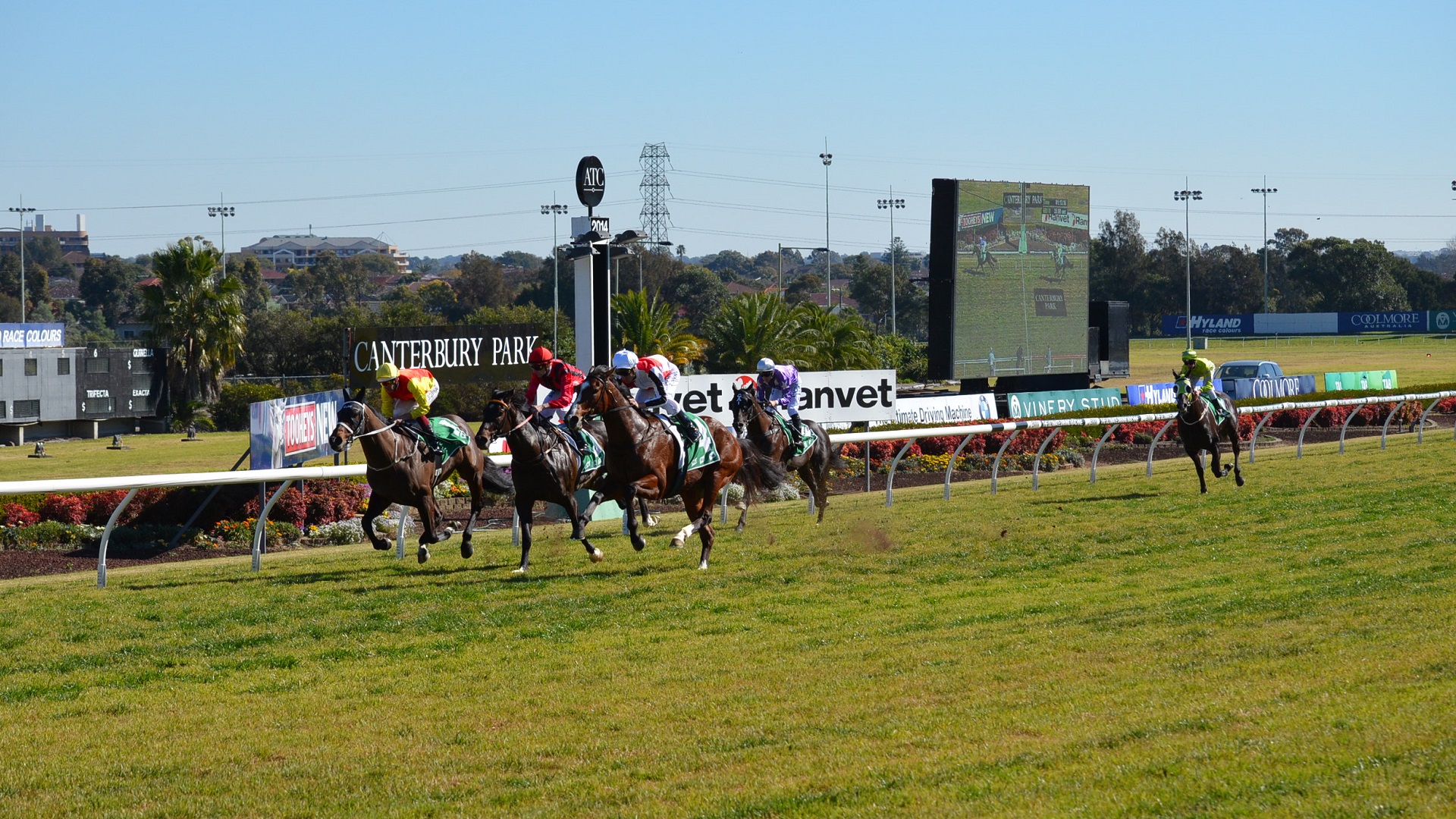 Animal Horse Race Racing Horse Racing Jockey Photography Races 1920x1080