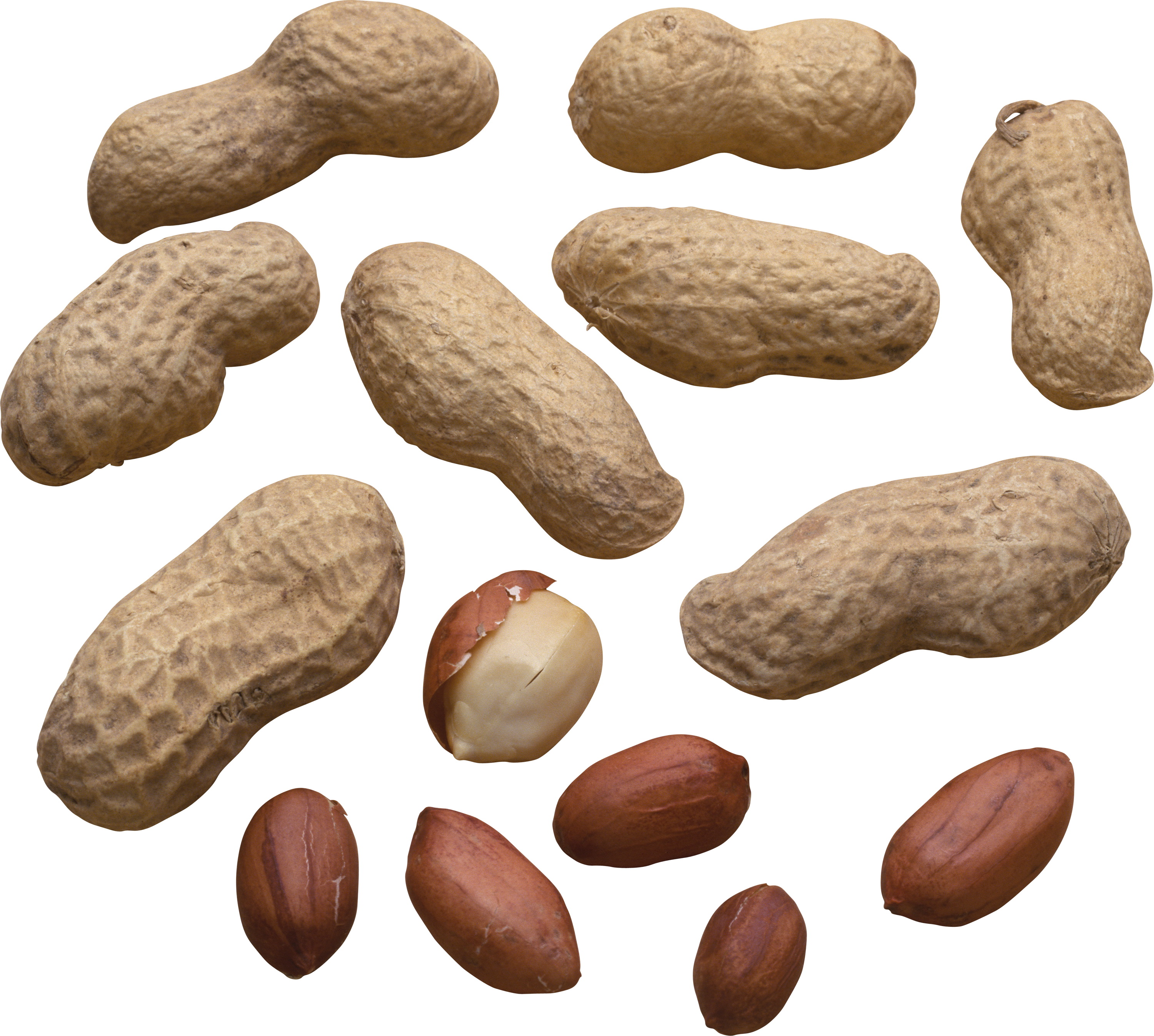 Food Peanut 3000x2694