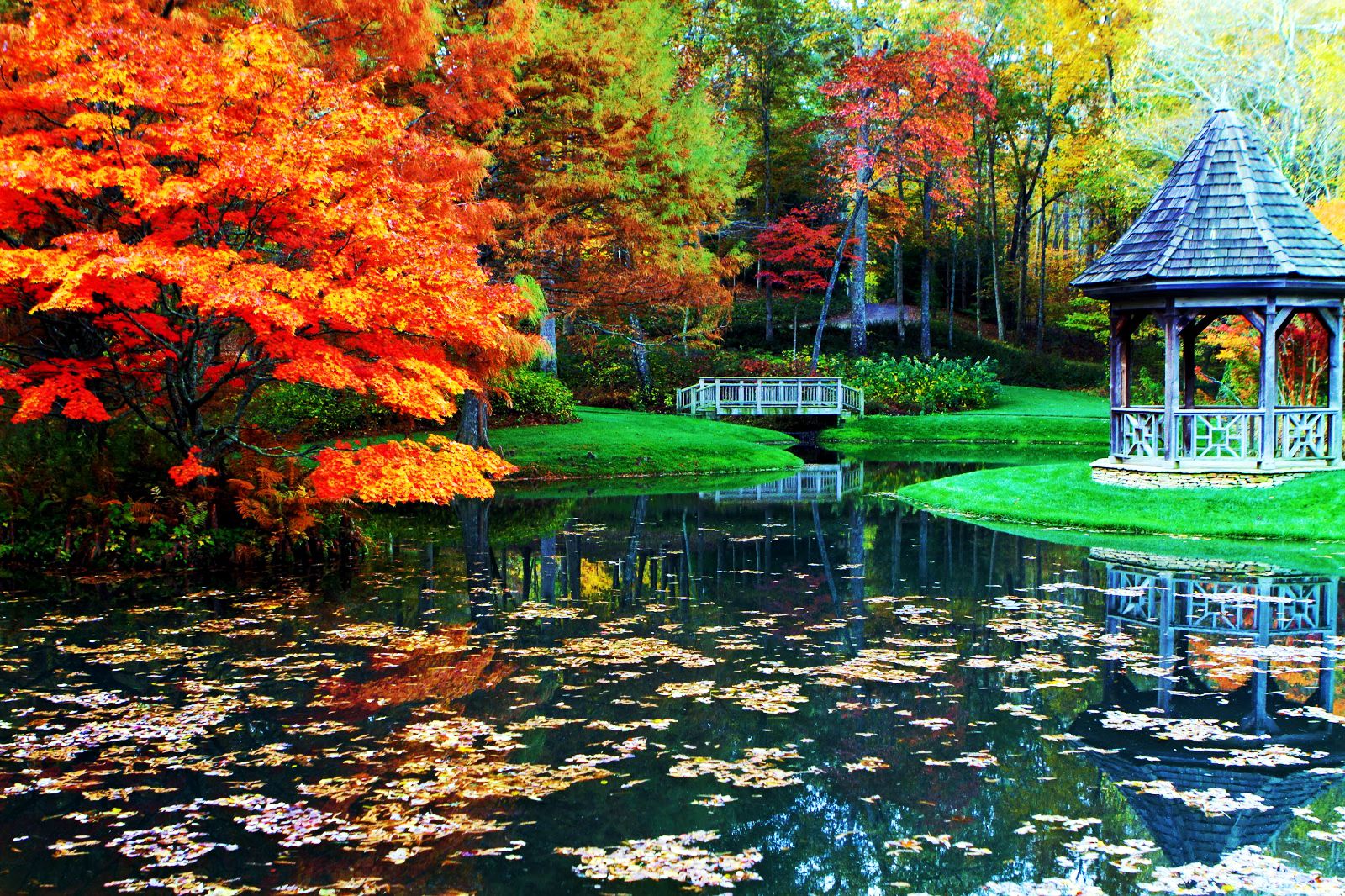 Gazebo Park Fall Foliage Tree Pond Reflection 1600x1066