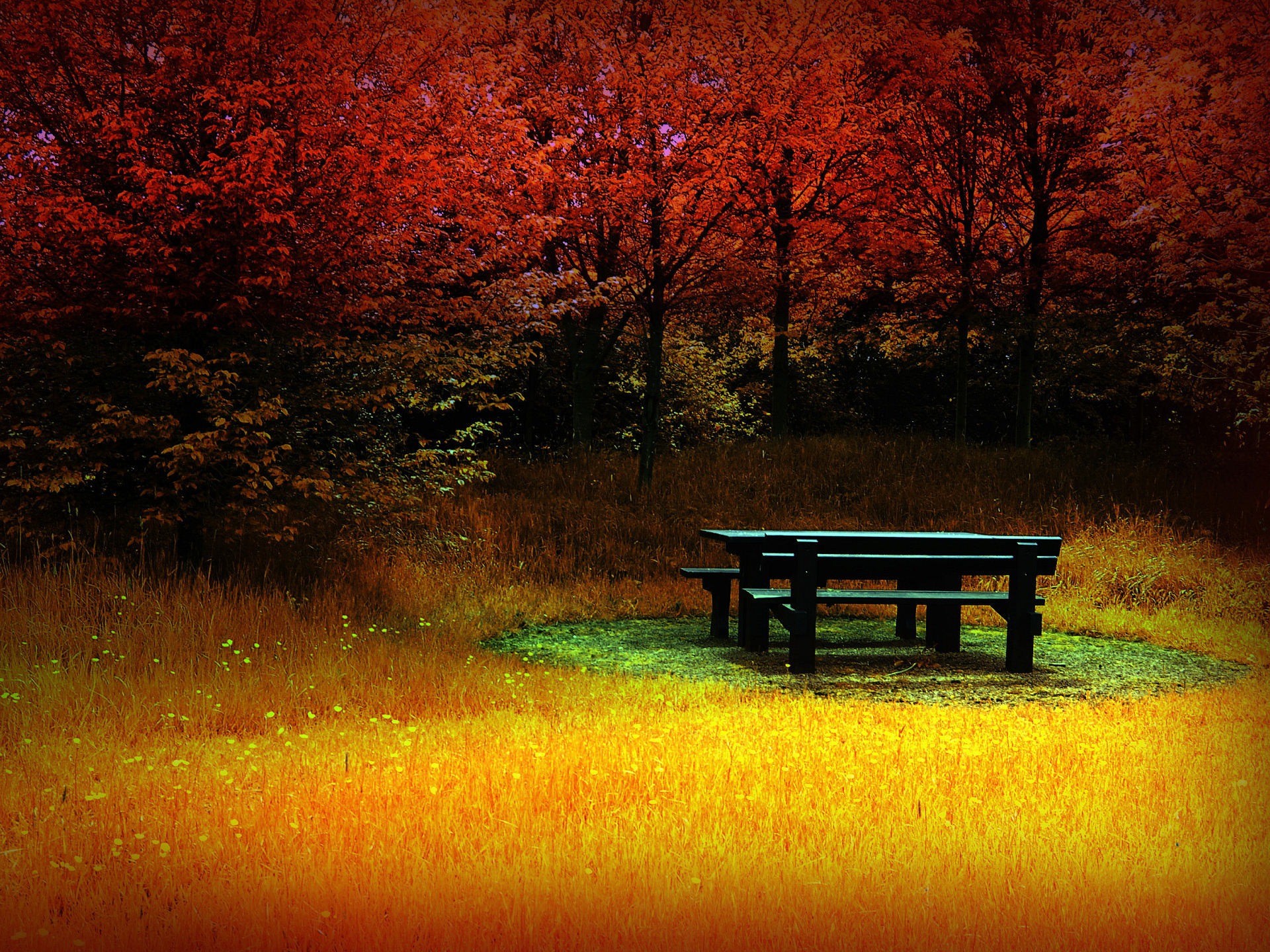 Forest Clearing Bench Red Fall Nature Forest 1920x1440