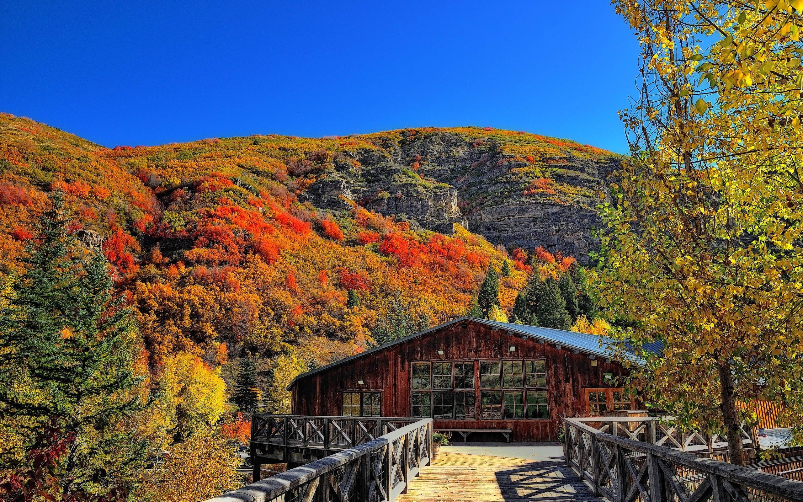 Fall Mountains Wood House Landscape Red Leaves 2560x1600