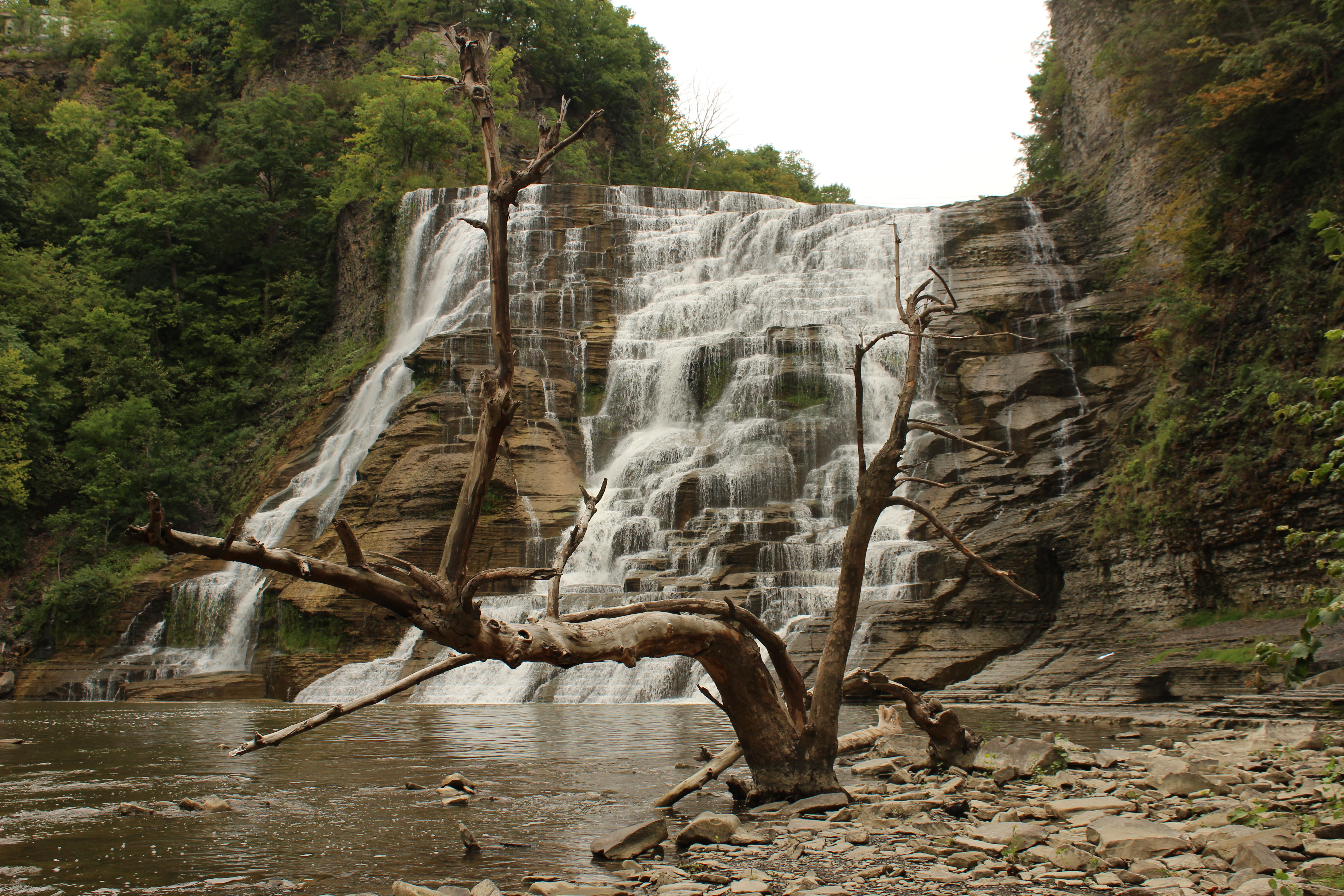 New York State Waterfall Dead Trees Landscape Water Rock Rocks 5184x3456