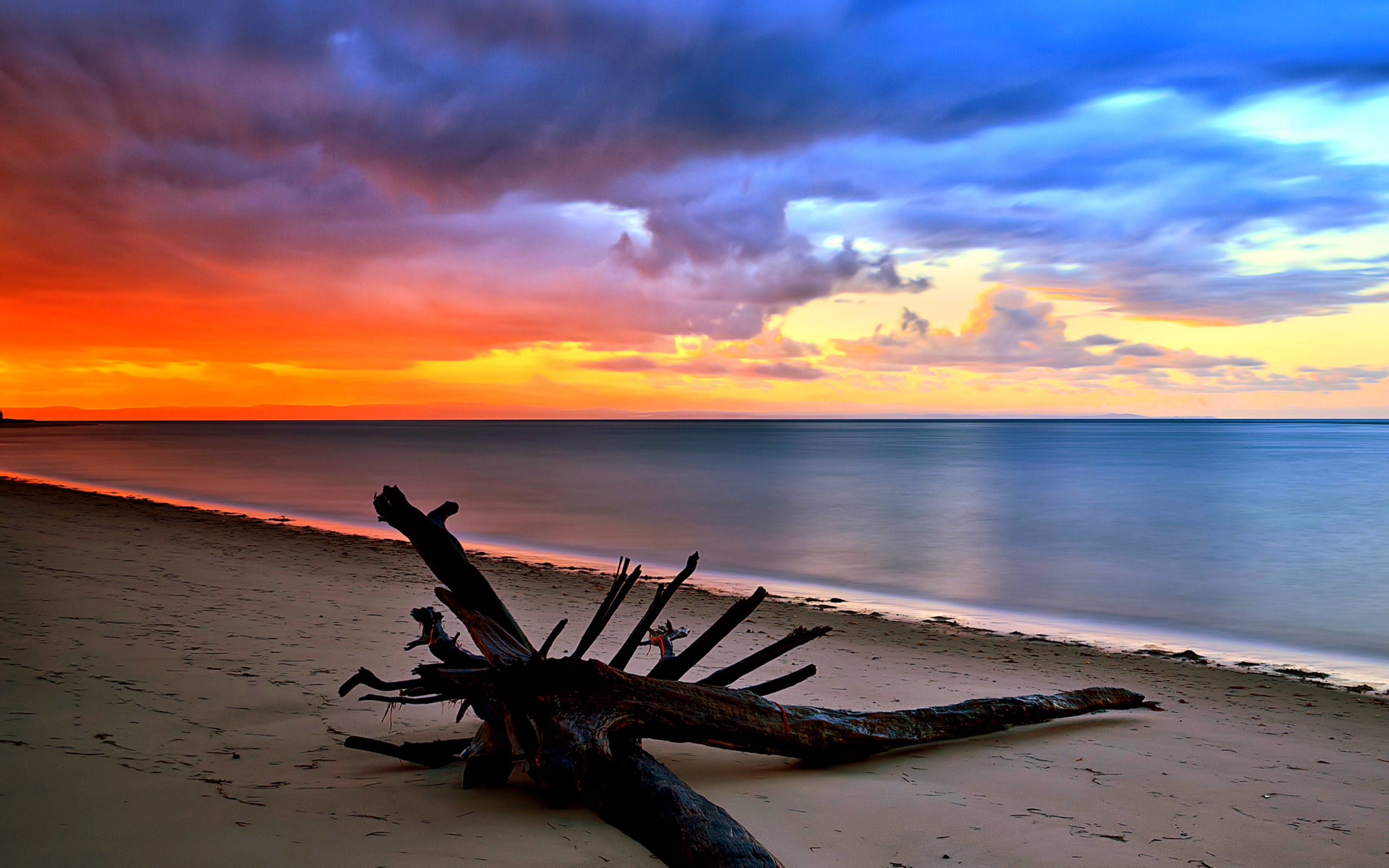 Earth Sunset Ocean Sea Beach Driftwood Horizon 2560x1600