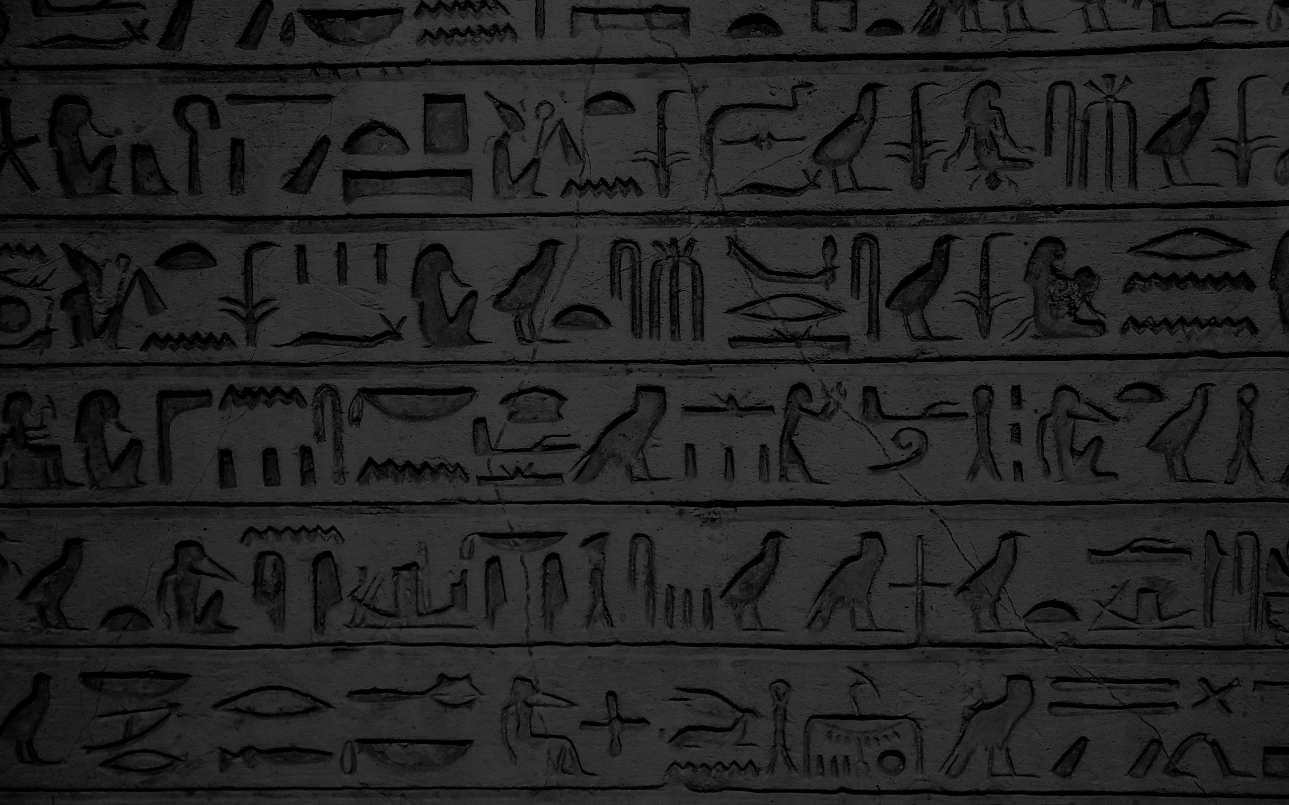 Symbols Archeology Egypt Writing Hieroglyphics 2560x1600