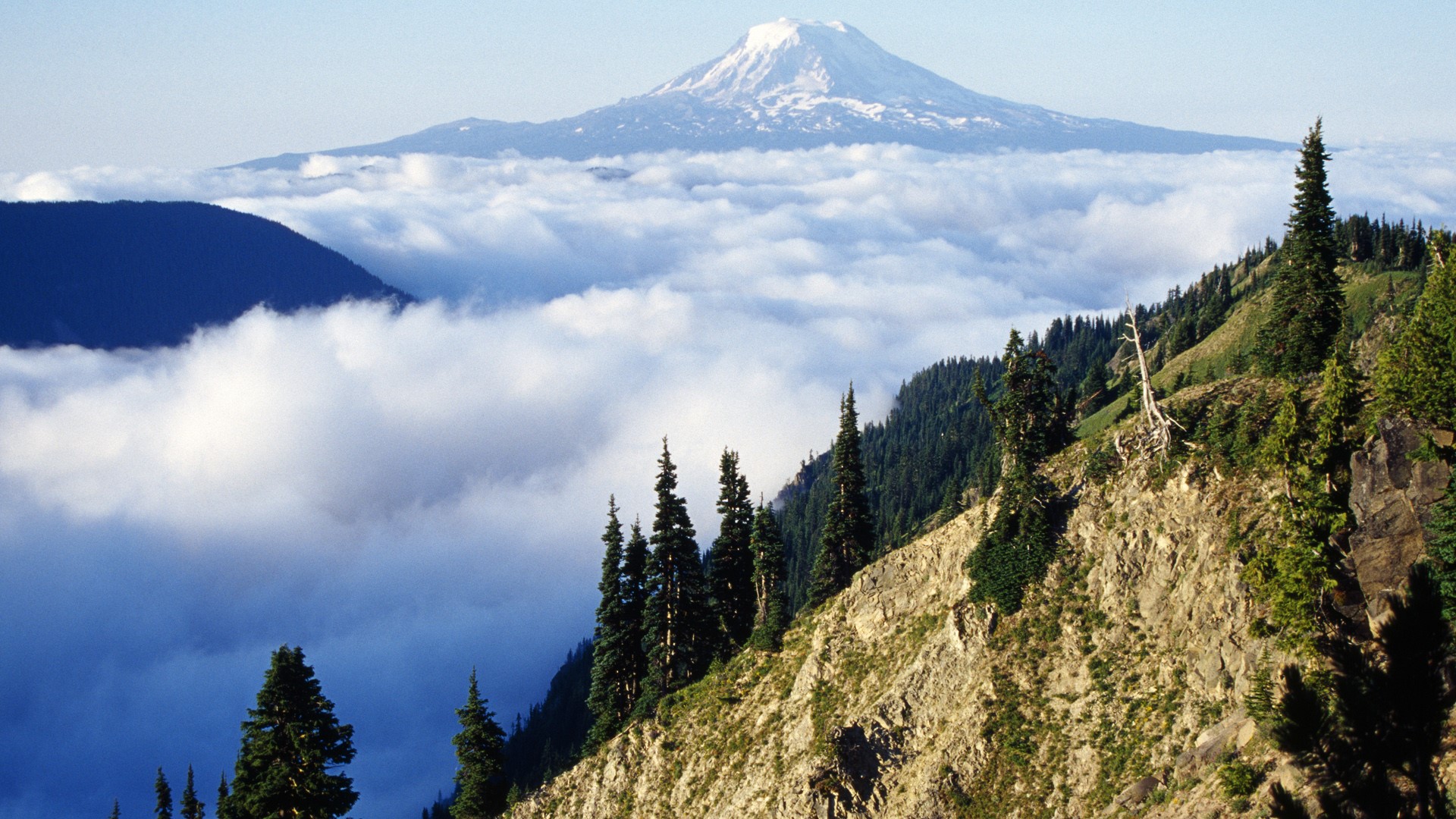 Nature Landscape Mountains Trees Forest Far View Clouds Snowy Peak Sky Mount Adams Washington USA 1920x1080