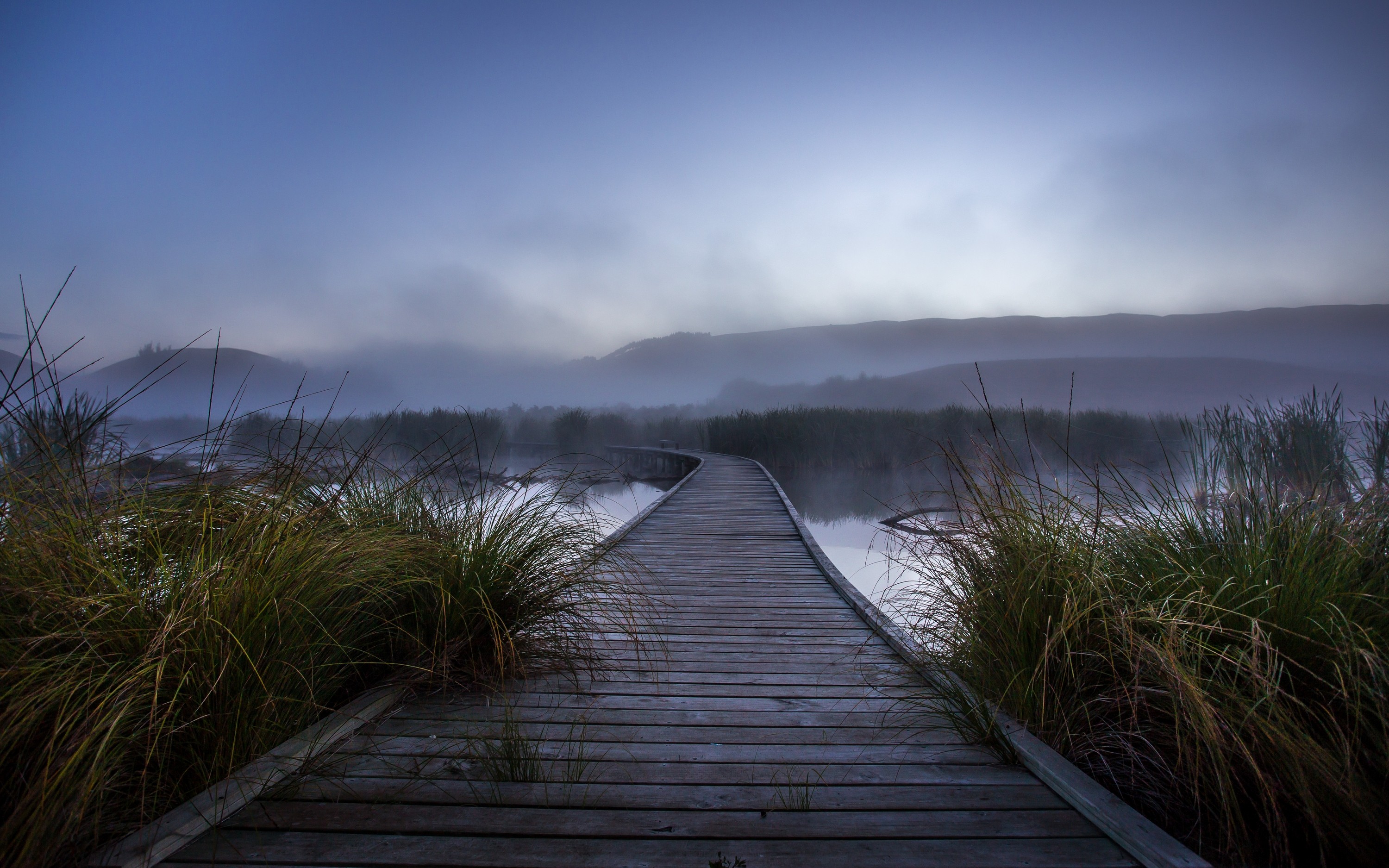 Nature Landscape Mist Morning Walkway Mountains Shrubs Wetland Grass 3000x1875