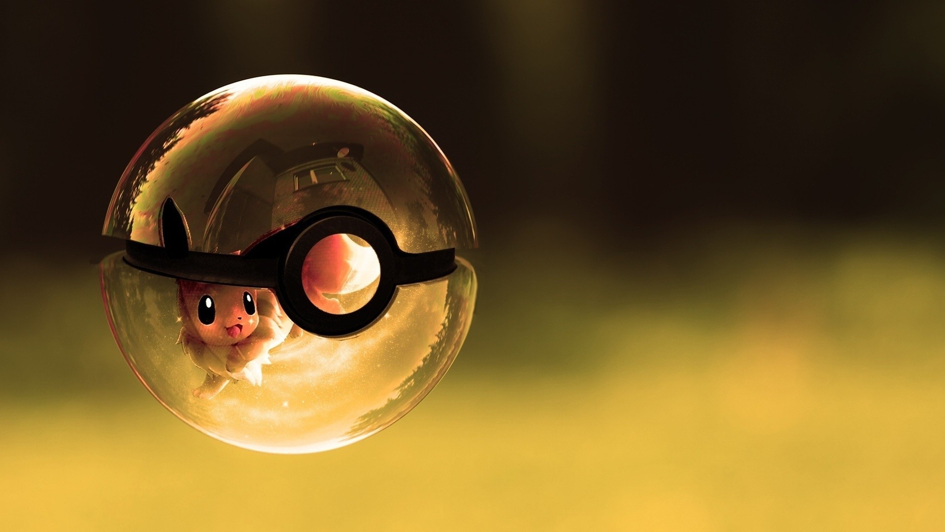 Eevee Pokeballs Pokemon 1920x1080