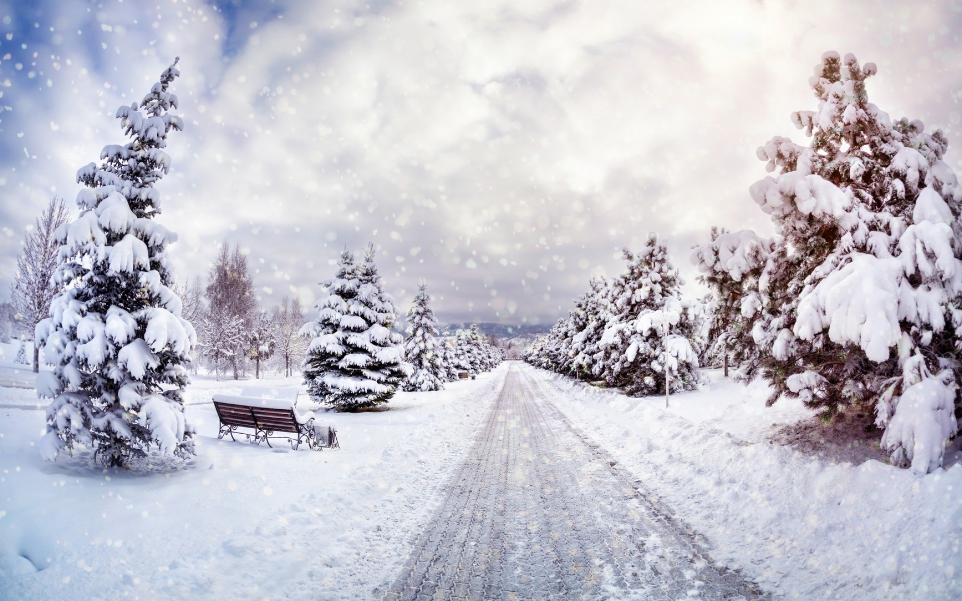 Winter Road Pathway Park Snow Snowing Bench Wallpaper - Resolution ...