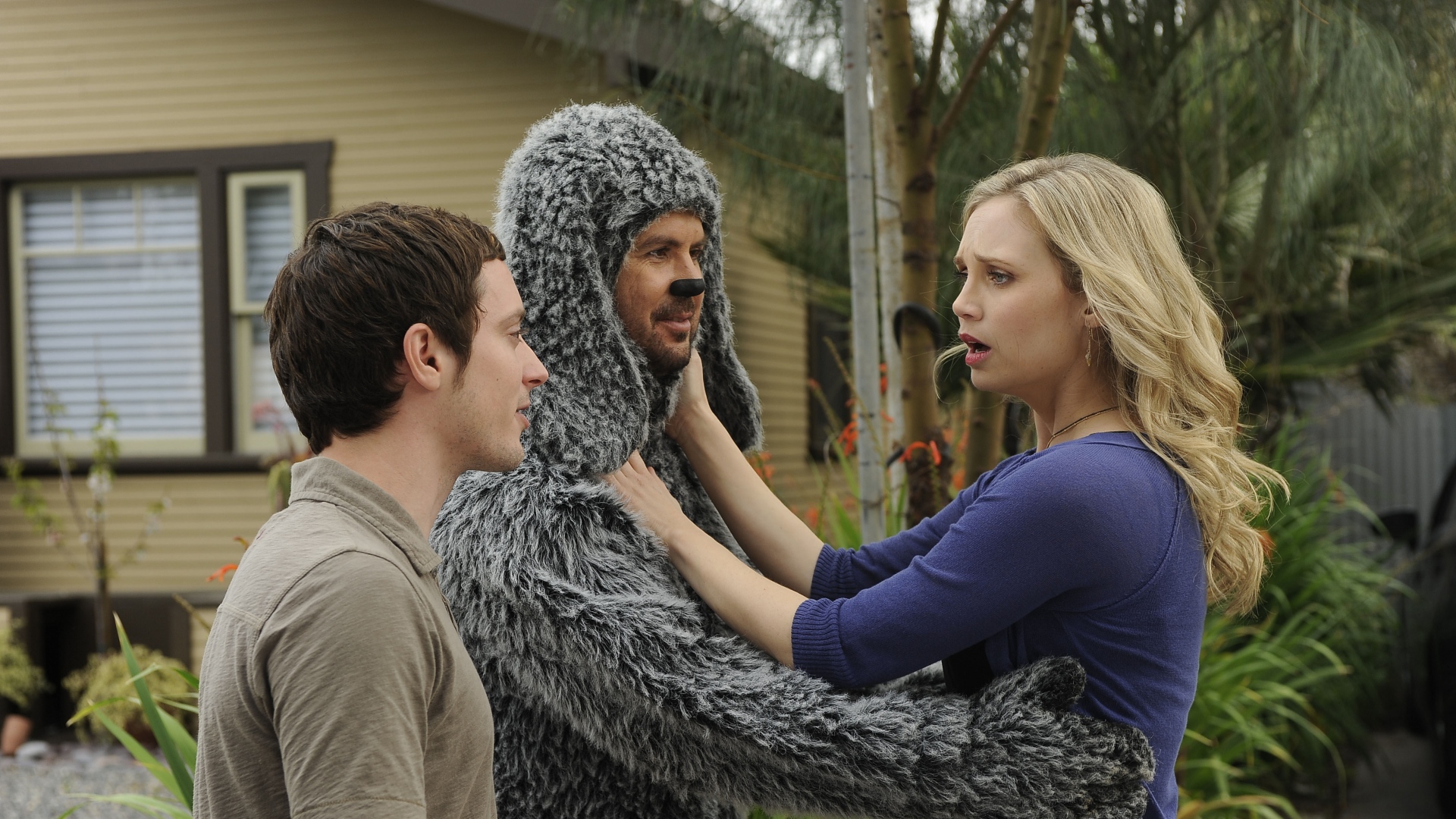 Wilfred TV Show Elijah Wood Sitcom Jason Gann 1920x1080