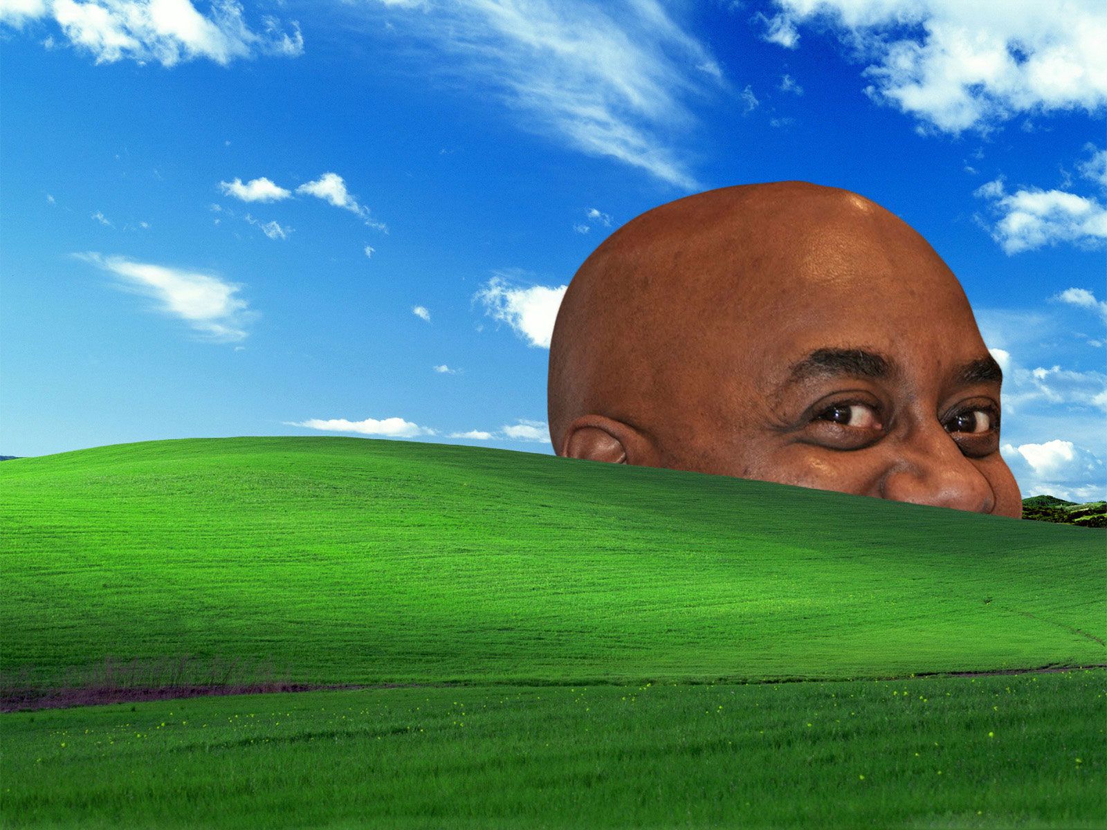 Grass Nature Sky Black Guy Ainsley Harriott Bliss Humor Parody Windows XP 1600x1200