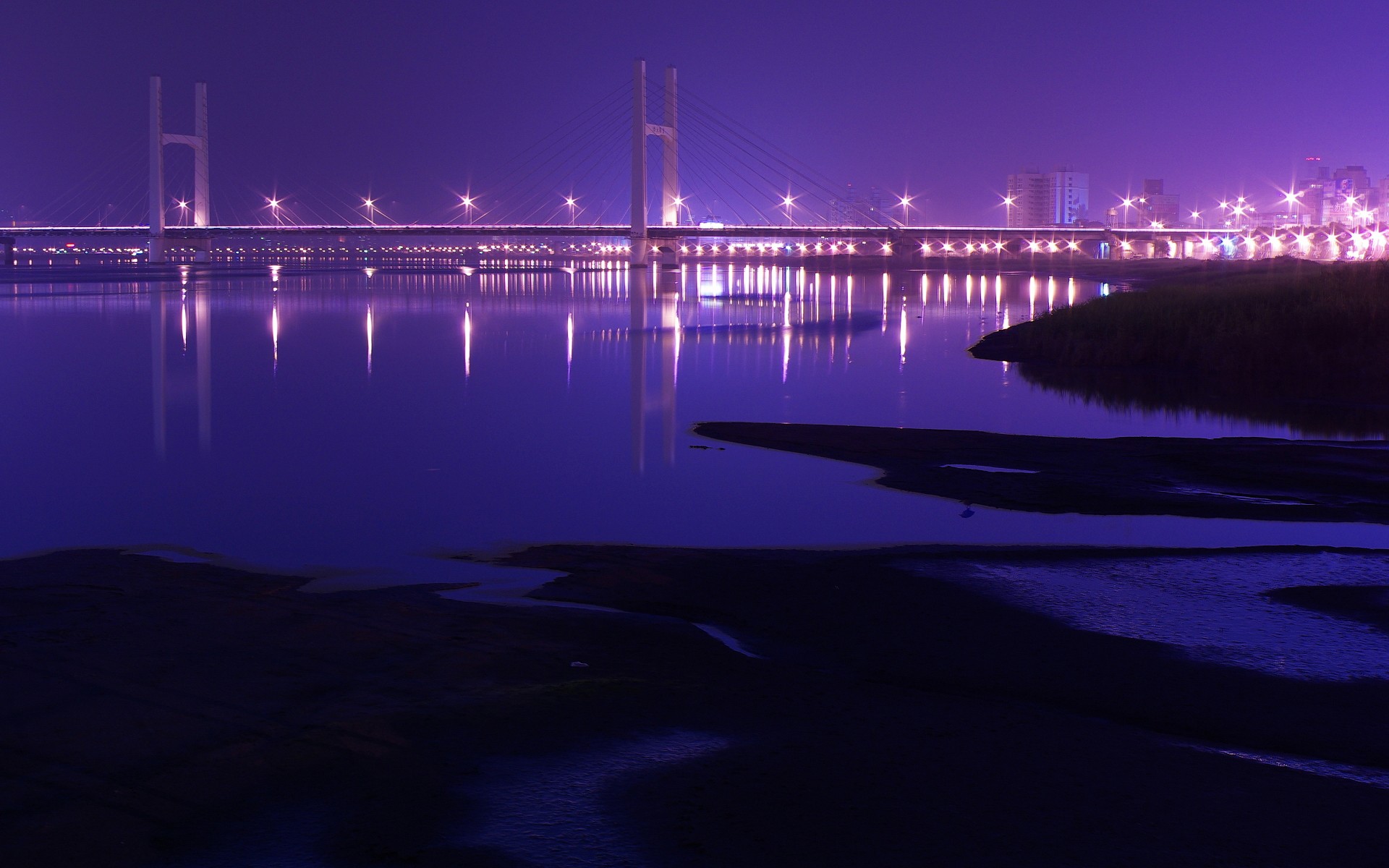 Bridge Night City Lights Suspension Bridge Purple 1920x1200