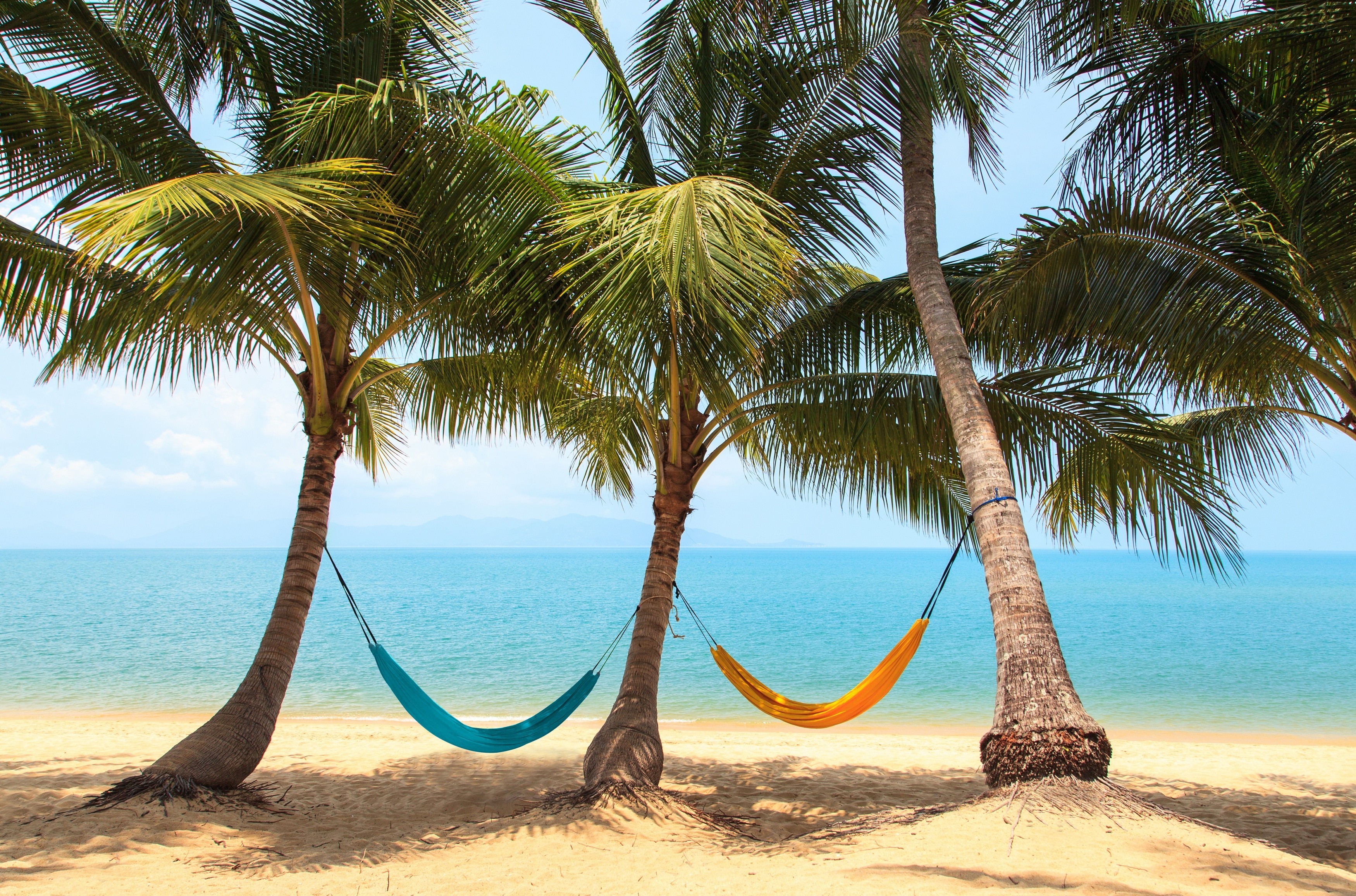 Tropics Palm Tree Beach Hammock Holiday Resting Sea 3500x2313