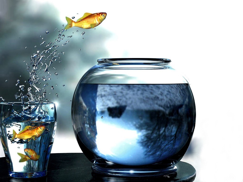 Digital Art Goldfish Glass Glass Fishbowls Fish Jumping Water Drops 1024x768