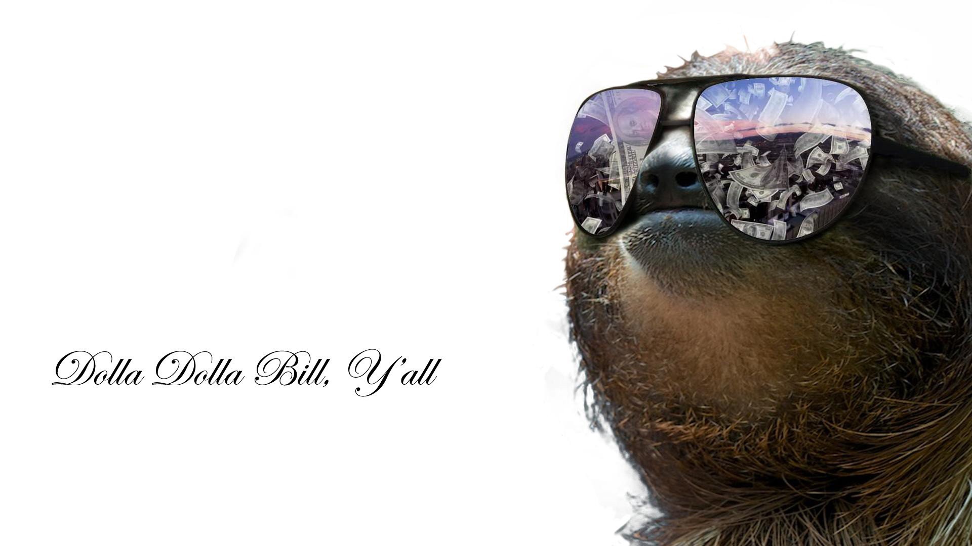 Sloths Quote Glasses Digital Art Typography Sloths Sunglasses 1920x1080